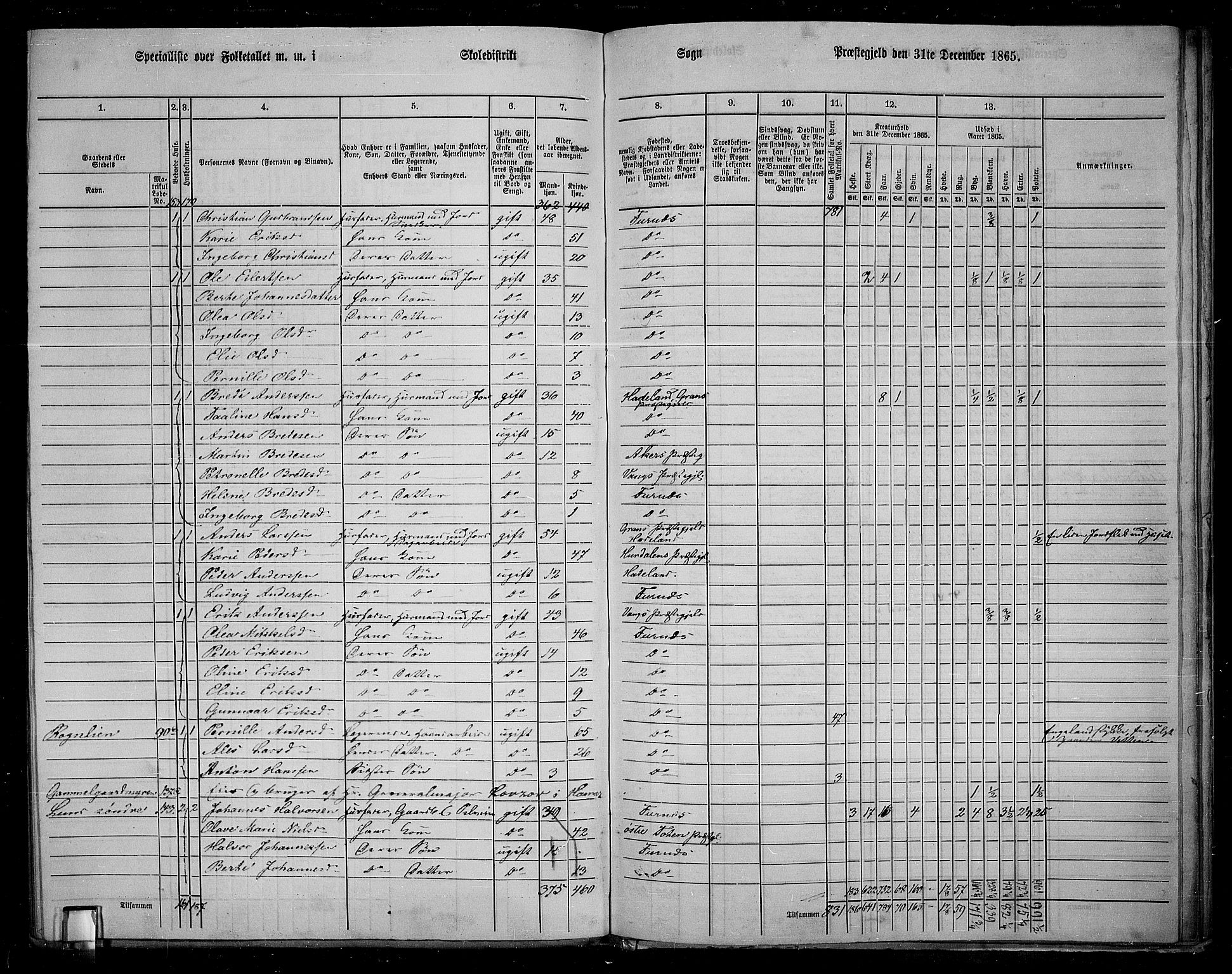 RA, 1865 census for Vang/Vang og Furnes, 1865, p. 117