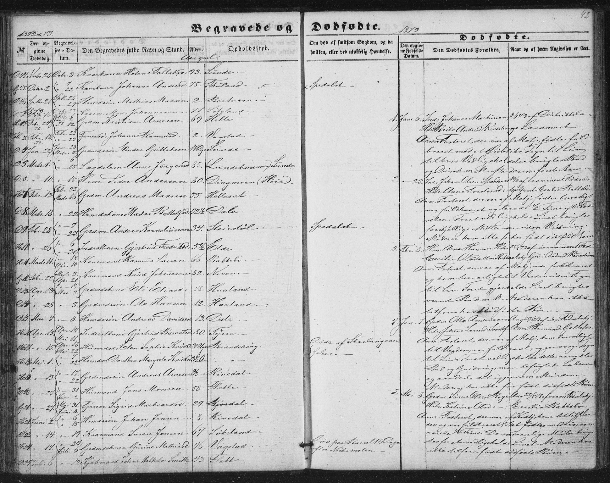 Fjaler sokneprestembete, AV/SAB-A-79801/H/Haa/Haaa/L0012: Parish register (official) no. A 12, 1854-1887, p. 42