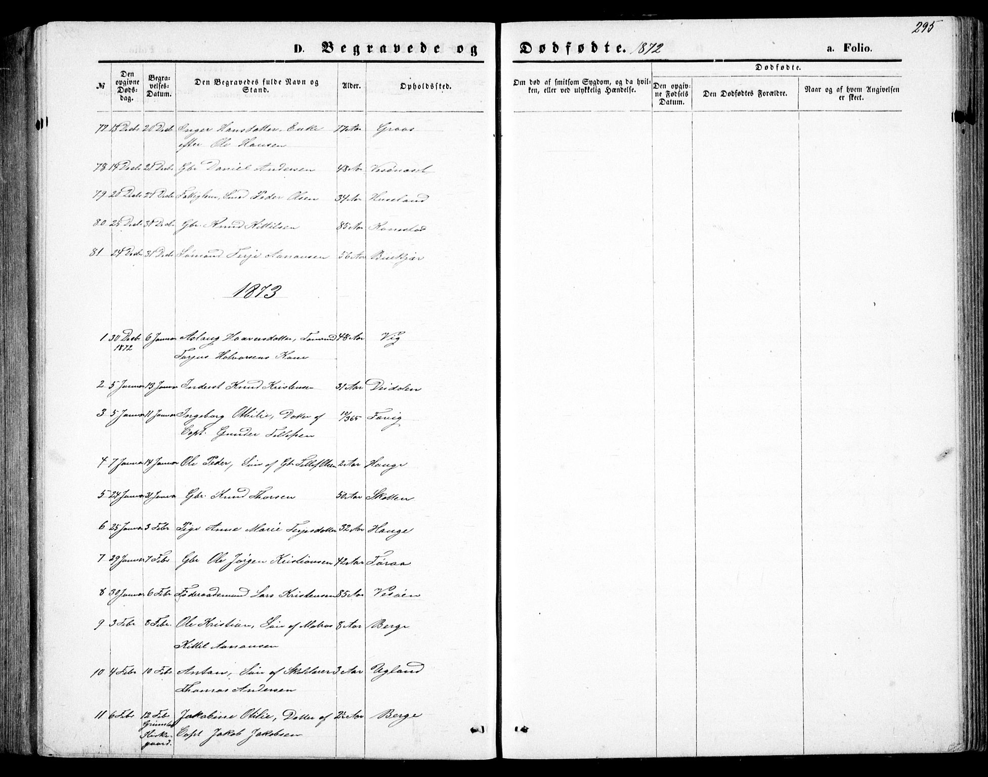 Fjære sokneprestkontor, SAK/1111-0011/F/Fb/L0010: Parish register (copy) no. B 10, 1871-1880, p. 295