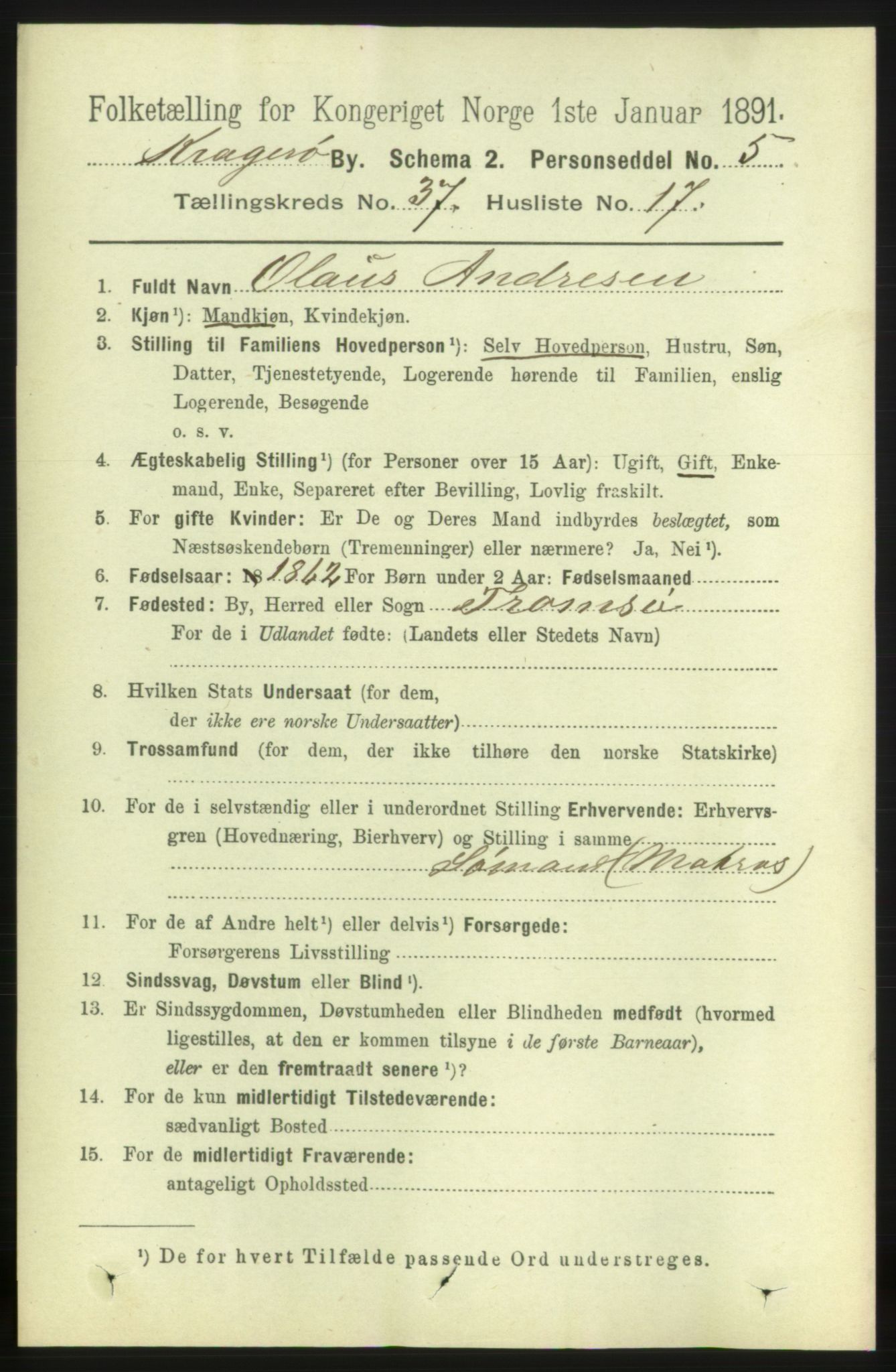 RA, 1891 census for 0801 Kragerø, 1891, p. 6866