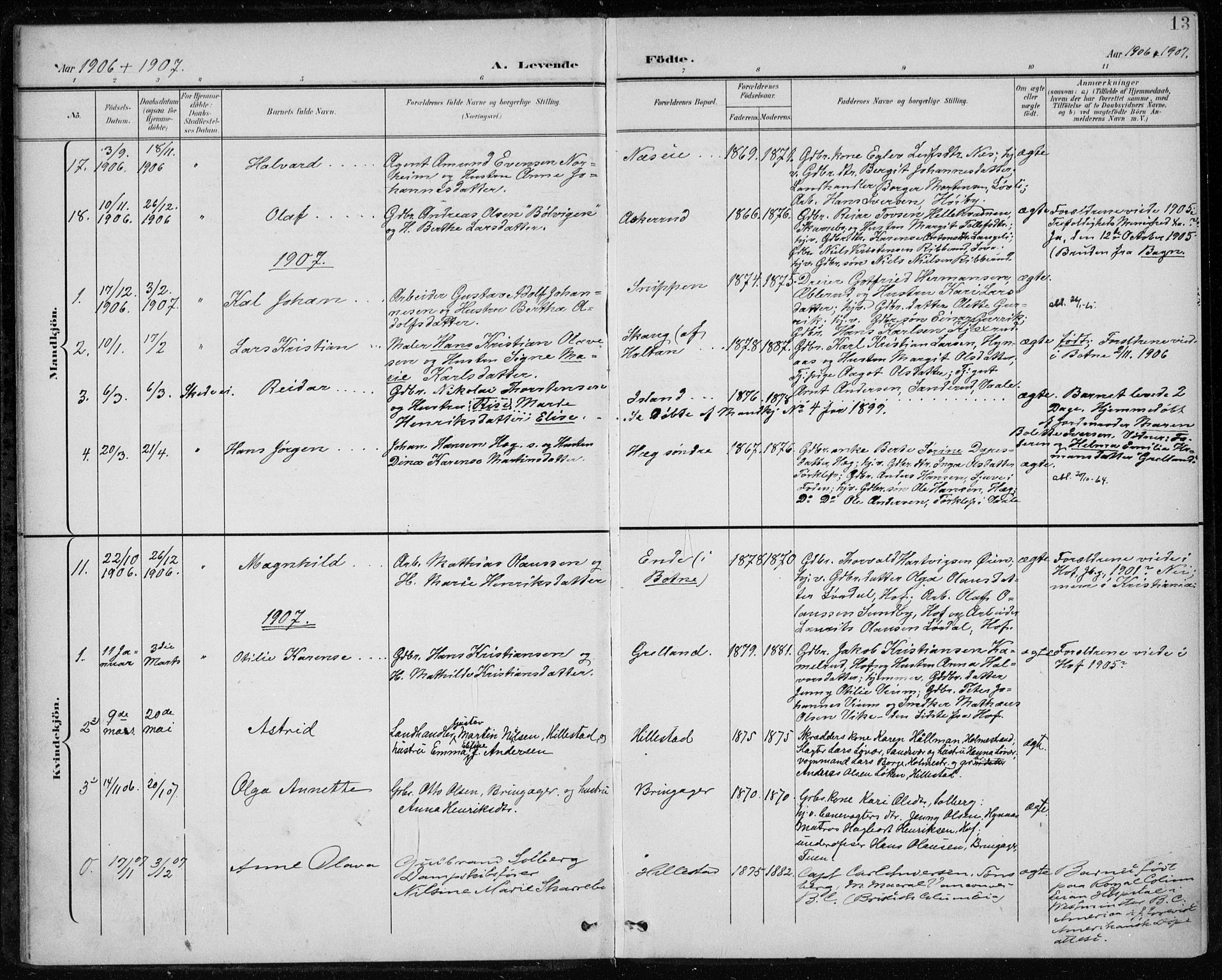 Botne kirkebøker, SAKO/A-340/F/Fb/L0002: Parish register (official) no. II 2, 1902-1915, p. 13
