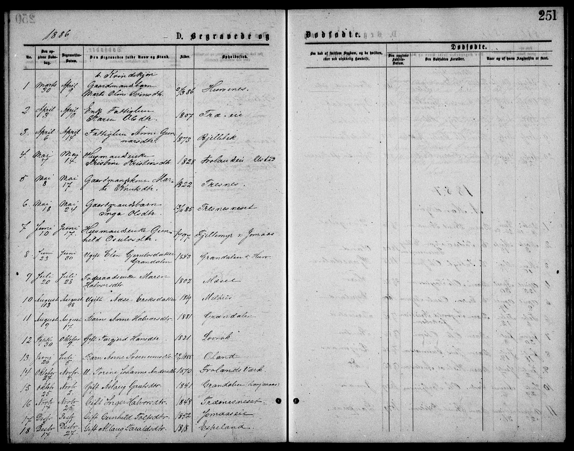 Froland sokneprestkontor, SAK/1111-0013/F/Fb/L0009: Parish register (copy) no. B 9, 1875-1893, p. 251
