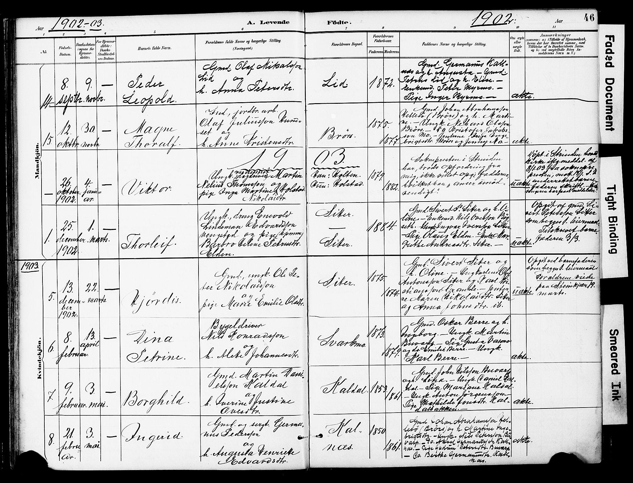 Ministerialprotokoller, klokkerbøker og fødselsregistre - Nord-Trøndelag, AV/SAT-A-1458/742/L0409: Parish register (official) no. 742A02, 1891-1905, p. 46