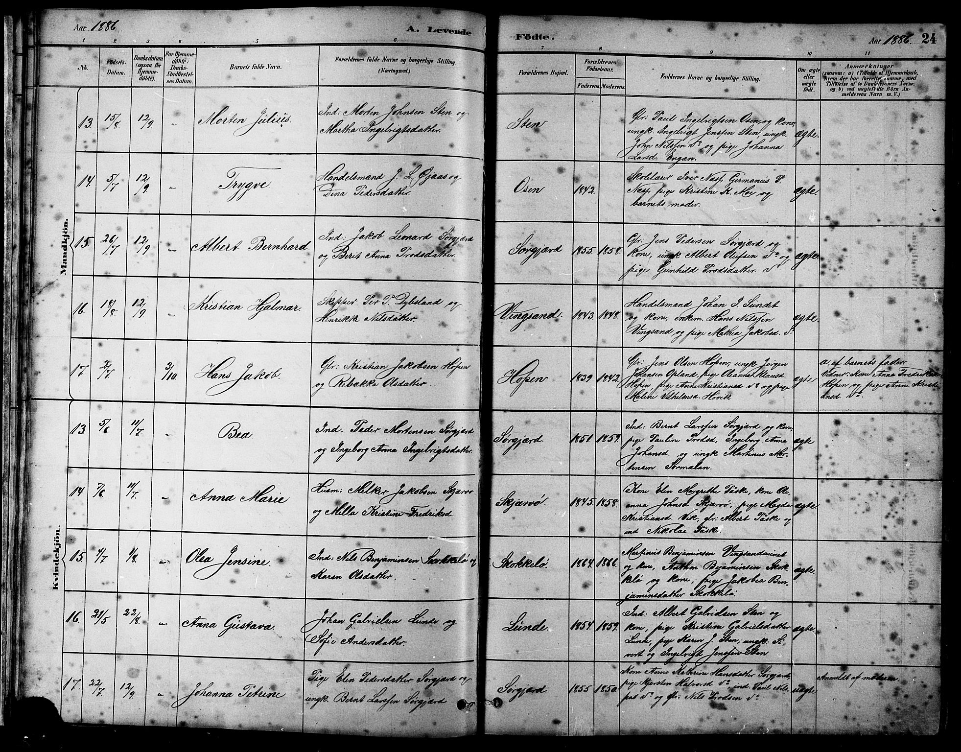 Ministerialprotokoller, klokkerbøker og fødselsregistre - Sør-Trøndelag, SAT/A-1456/658/L0726: Parish register (copy) no. 658C02, 1883-1908, p. 24