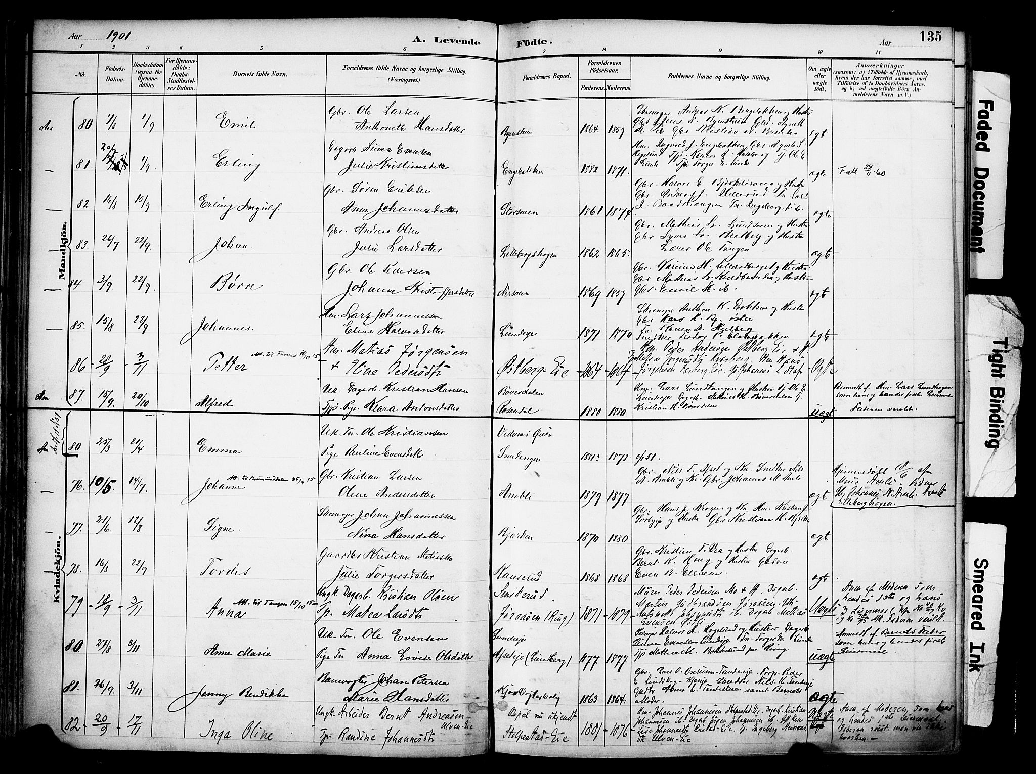 Ringsaker prestekontor, AV/SAH-PREST-014/K/Ka/L0017: Parish register (official) no. 17, 1891-1902, p. 135