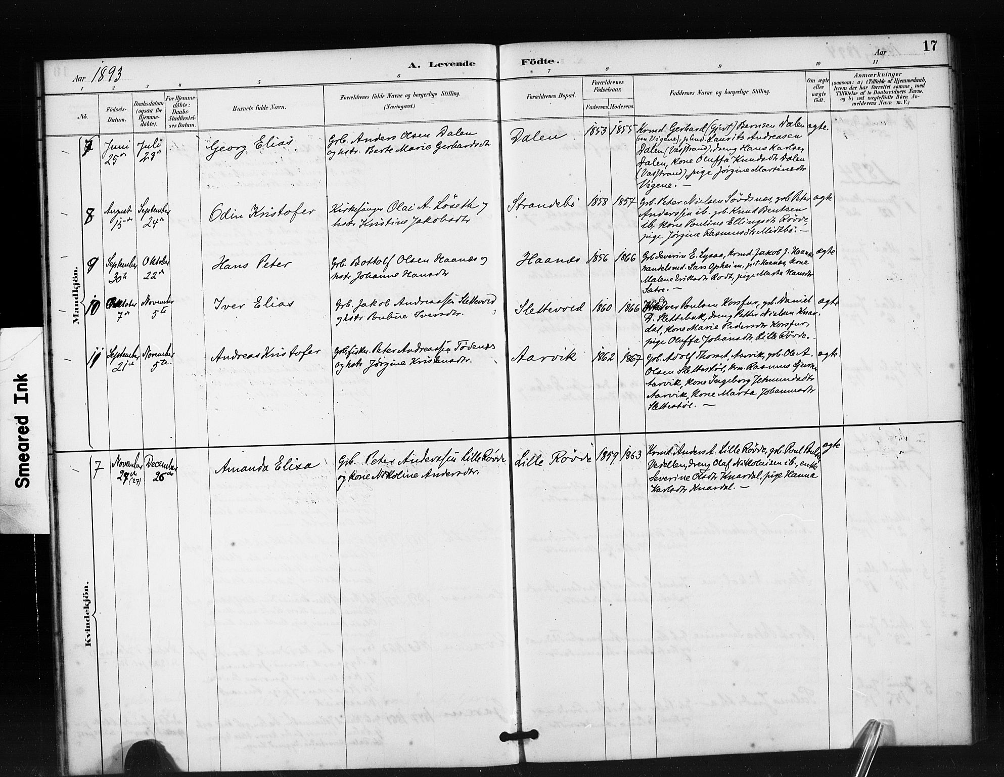 Ministerialprotokoller, klokkerbøker og fødselsregistre - Møre og Romsdal, AV/SAT-A-1454/504/L0056: Parish register (official) no. 504A03, 1884-1904, p. 17