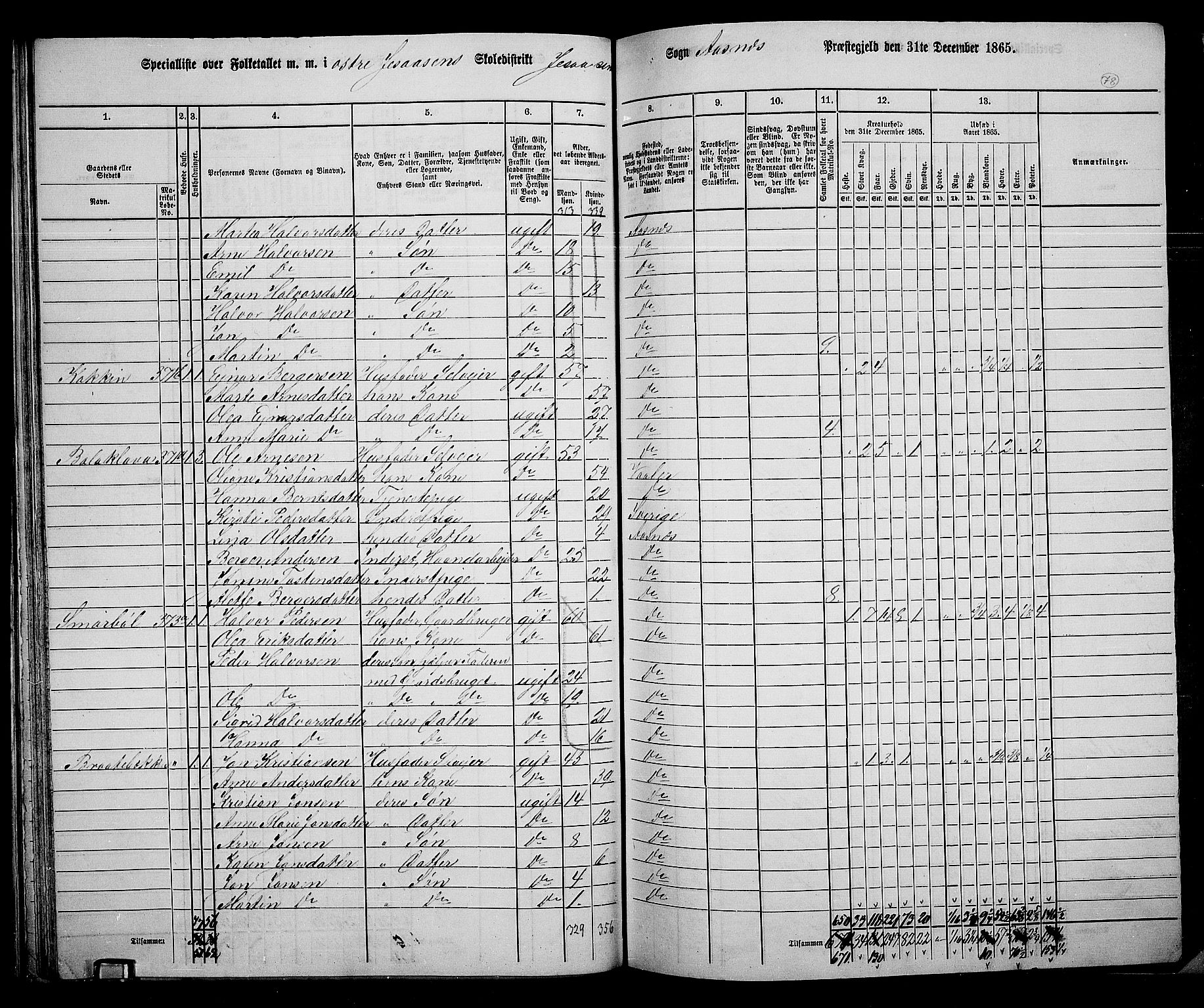 RA, 1865 census for Åsnes, 1865, p. 74