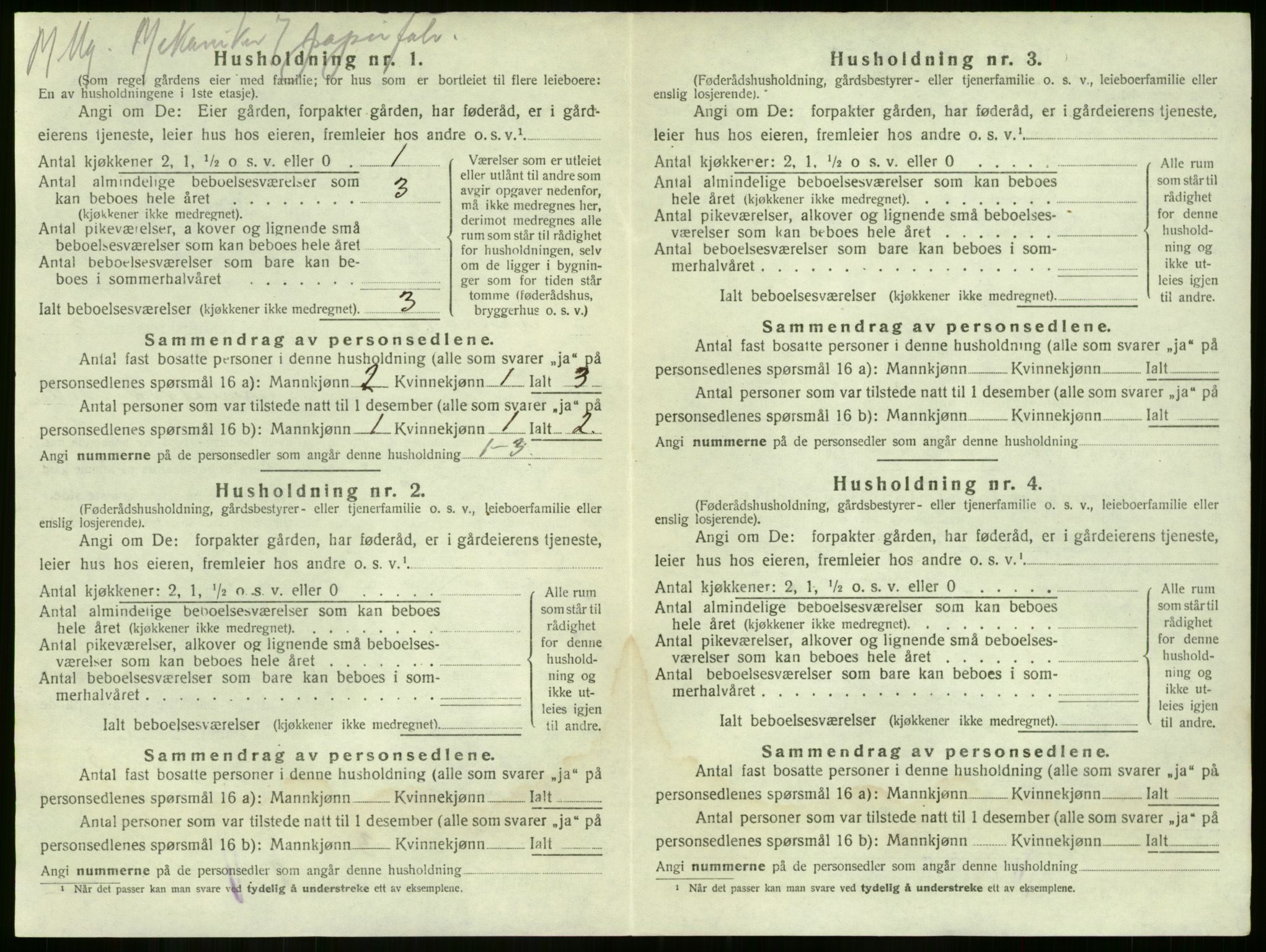 SAKO, 1920 census for Nøtterøy, 1920, p. 505