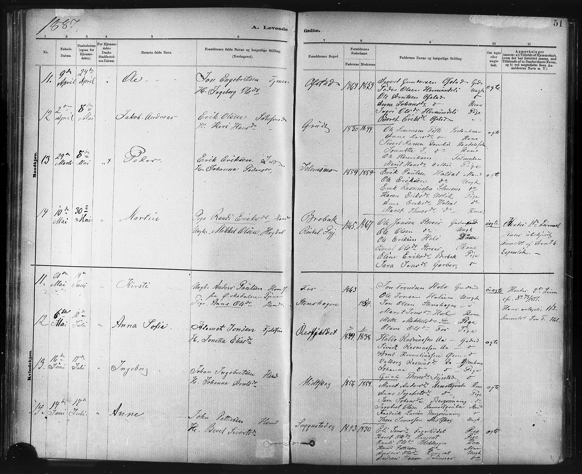 Ministerialprotokoller, klokkerbøker og fødselsregistre - Sør-Trøndelag, SAT/A-1456/672/L0857: Parish register (official) no. 672A09, 1882-1893, p. 51