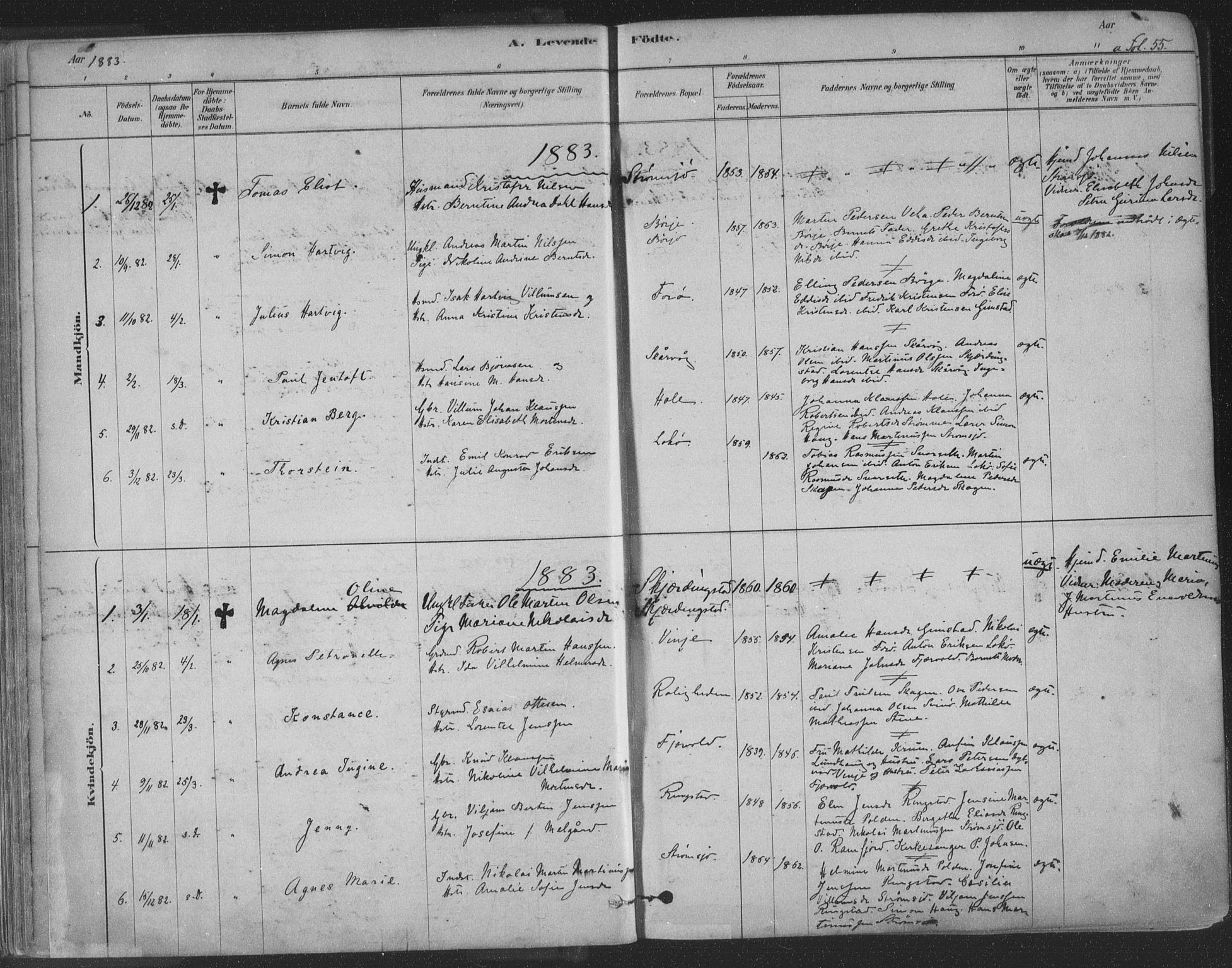 Ministerialprotokoller, klokkerbøker og fødselsregistre - Nordland, AV/SAT-A-1459/891/L1302: Parish register (official) no. 891A07, 1878-1895, p. 55