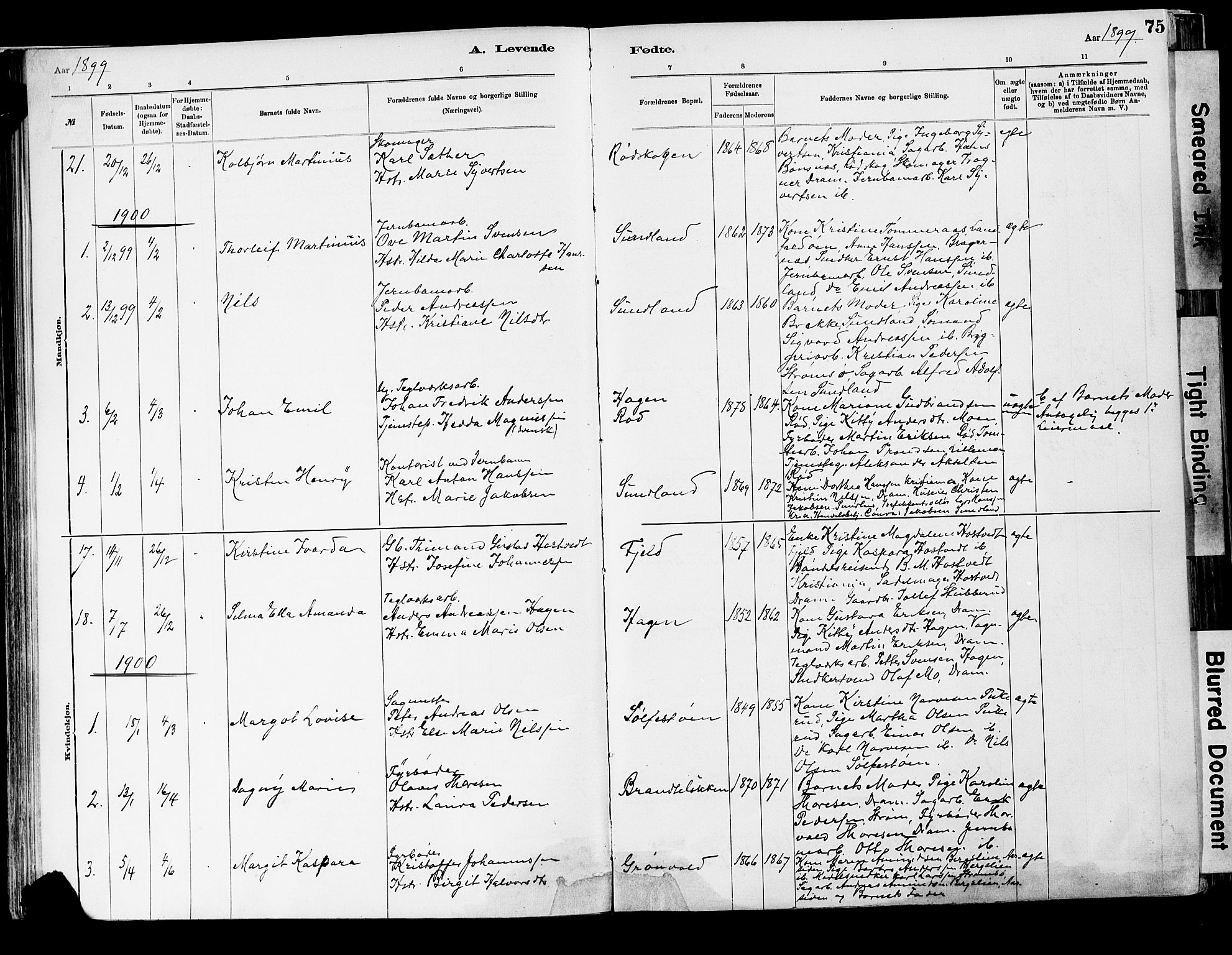 Strømsgodset kirkebøker, AV/SAKO-A-324/F/Fa/L0001: Parish register (official) no. 1, 1885-1909, p. 75