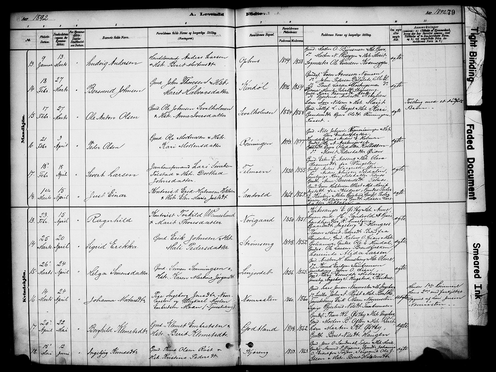 Tynset prestekontor, SAH/PREST-058/H/Ha/Hab/L0006: Parish register (copy) no. 6, 1880-1899, p. 79
