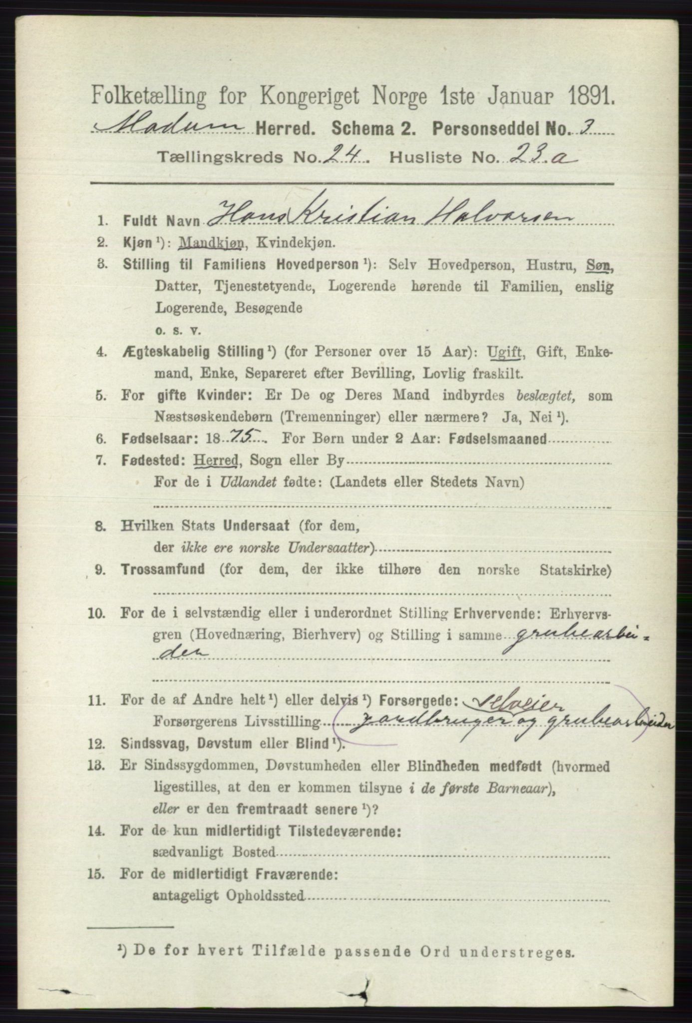 RA, 1891 census for 0623 Modum, 1891, p. 8986