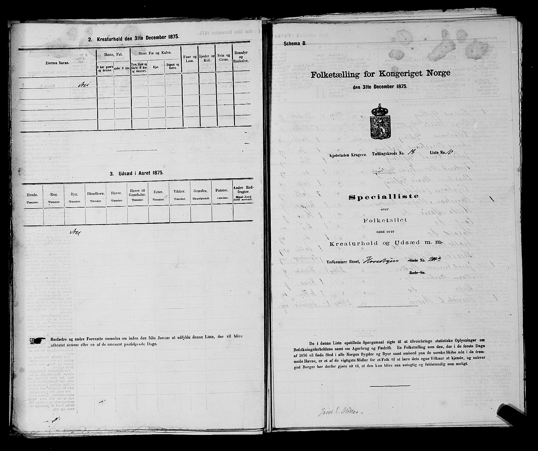 SAKO, 1875 census for 0801P Kragerø, 1875, p. 397