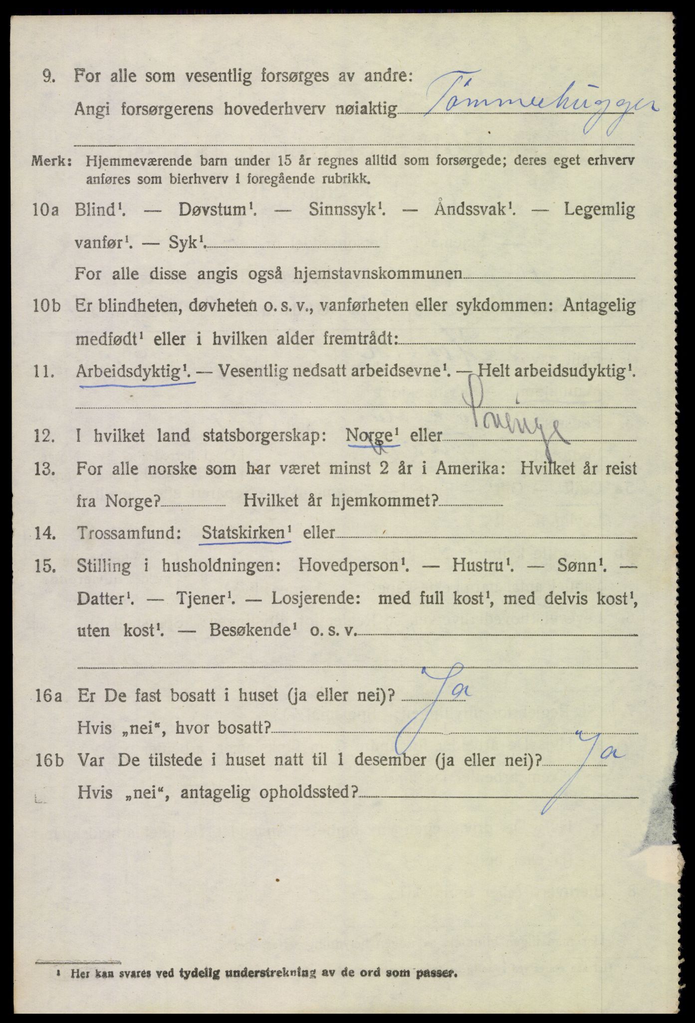 SAH, 1920 census for Trysil, 1920, p. 3456