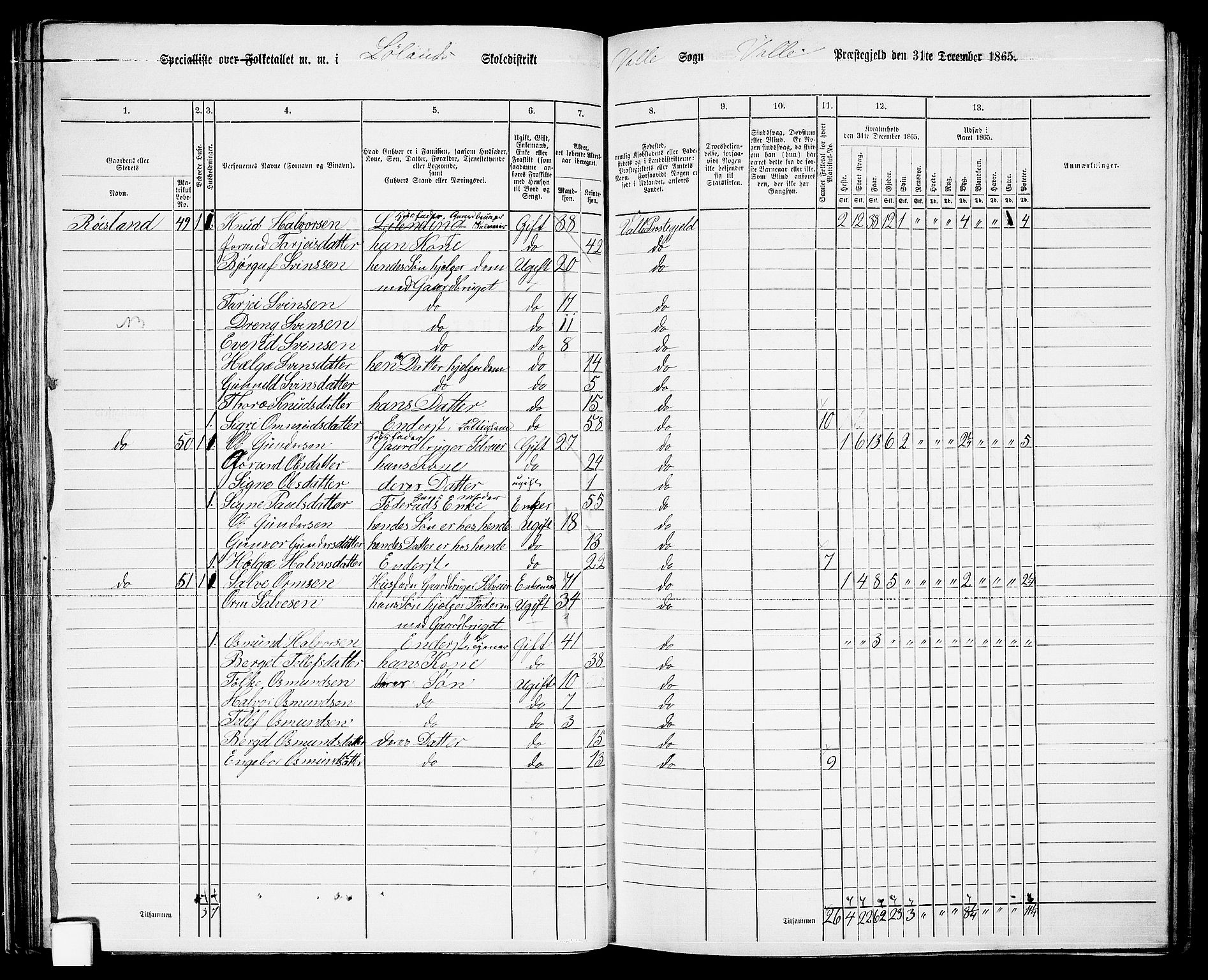 RA, 1865 census for Valle, 1865, p. 67