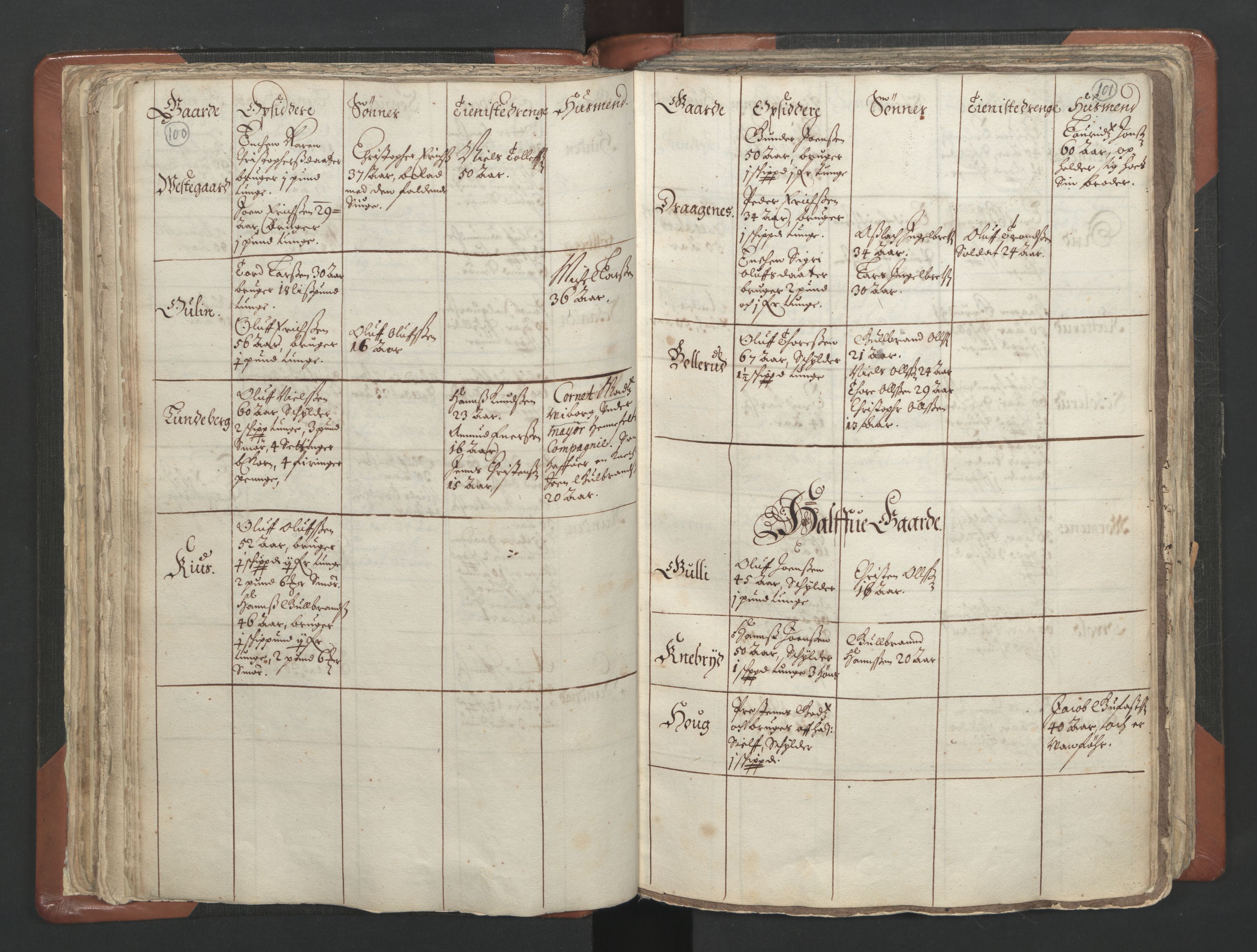 RA, Vicar's Census 1664-1666, no. 4: Øvre Romerike deanery, 1664-1666, p. 100-101