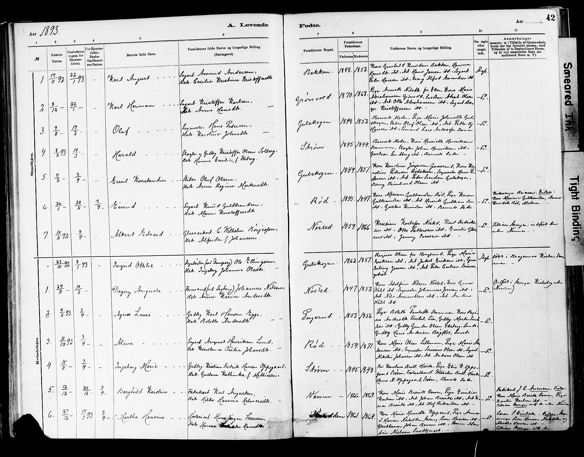 Strømsgodset kirkebøker, AV/SAKO-A-324/F/Fa/L0001: Parish register (official) no. 1, 1885-1909, p. 42