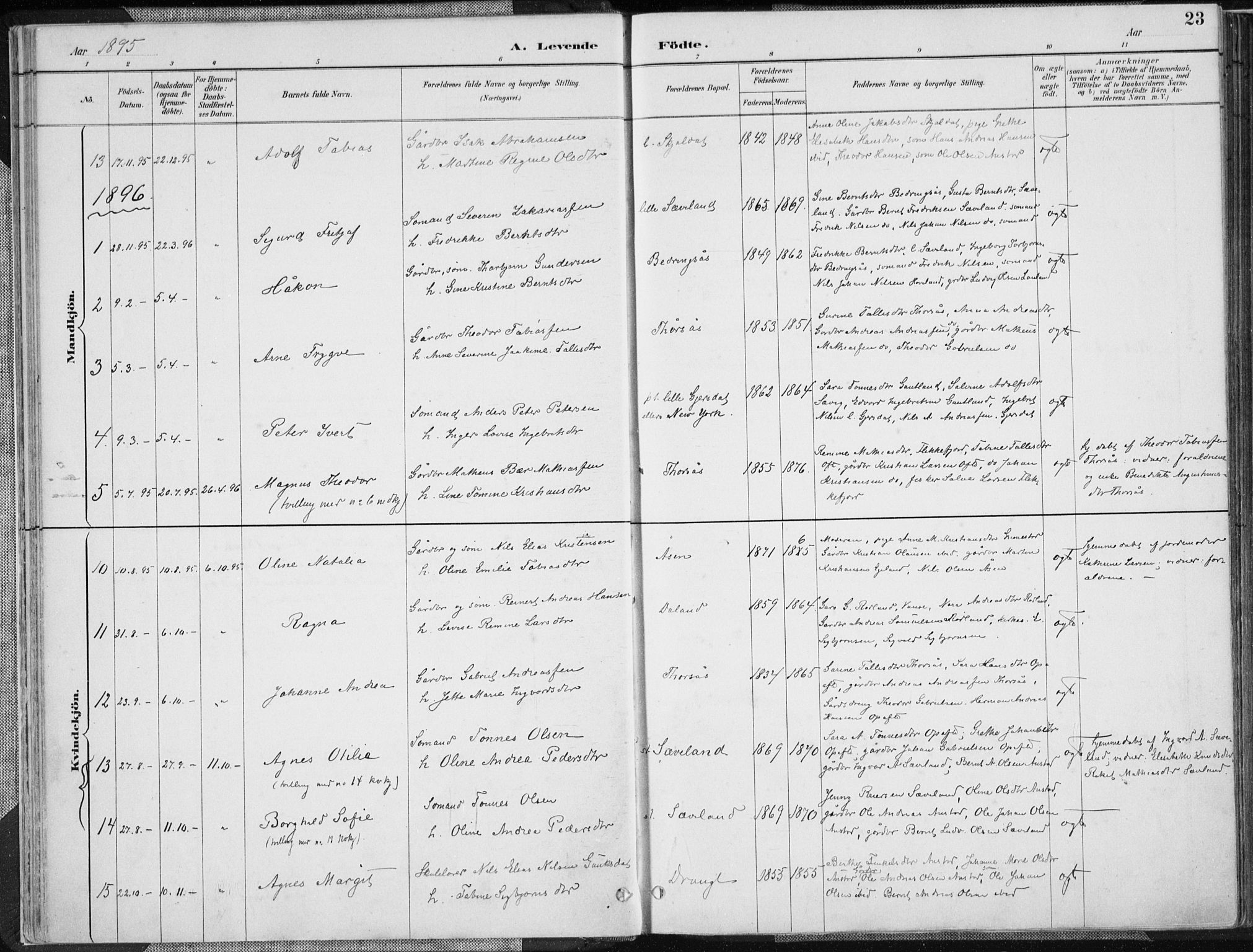 Herad sokneprestkontor, SAK/1111-0018/F/Fa/Faa/L0006: Parish register (official) no. A 6, 1887-1907, p. 23