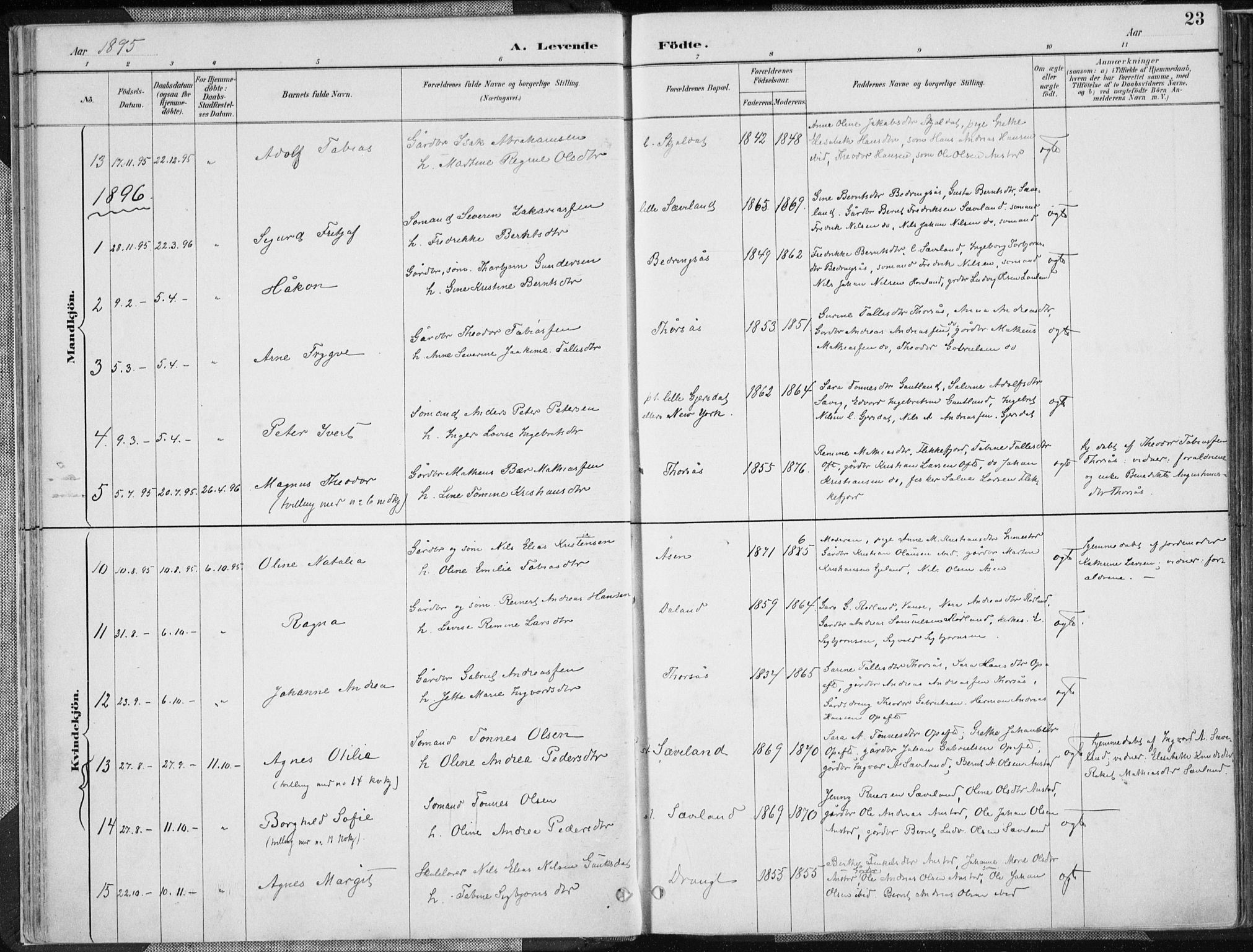 Herad sokneprestkontor, AV/SAK-1111-0018/F/Fa/Faa/L0006: Parish register (official) no. A 6, 1887-1907, p. 23