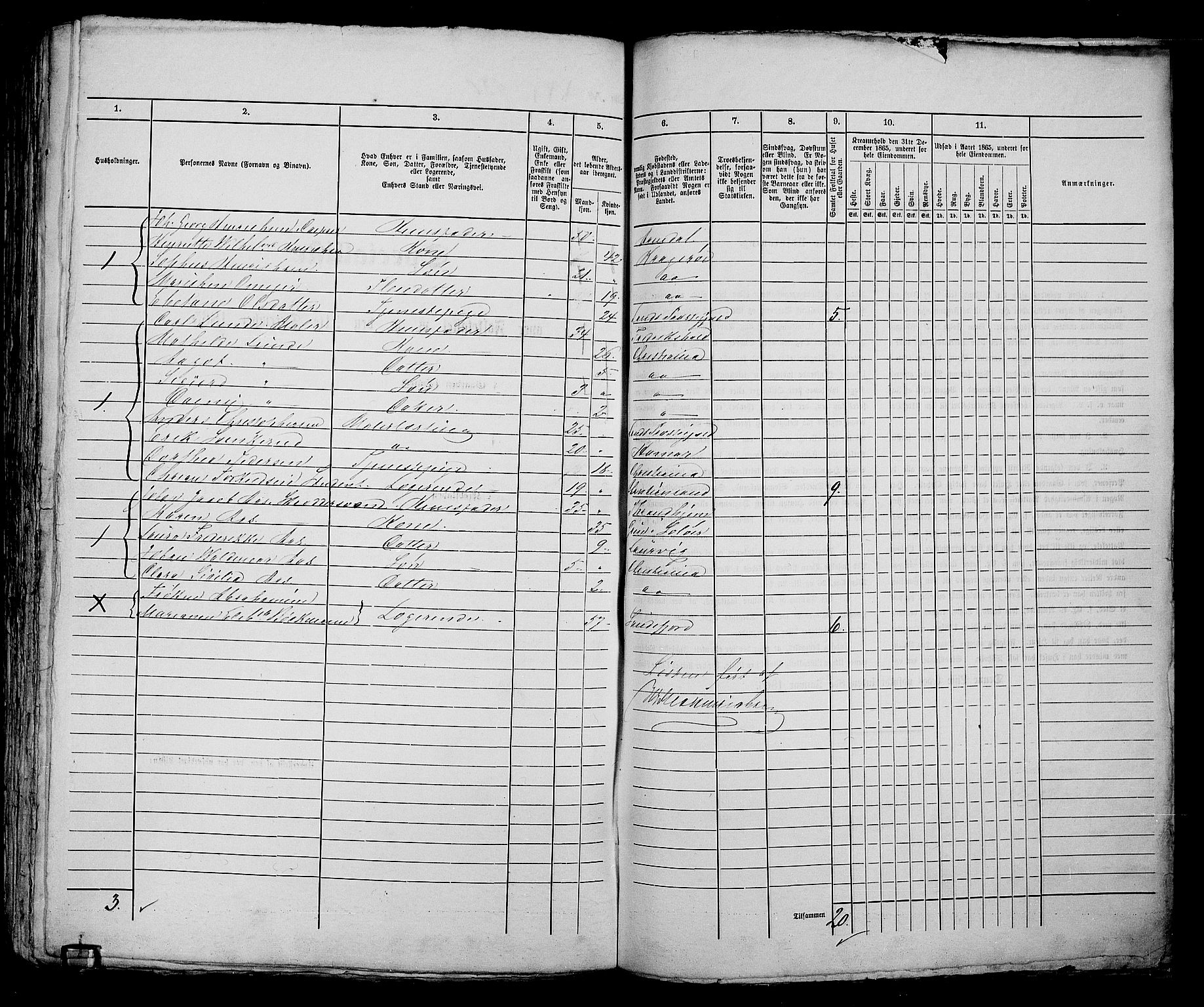 RA, 1865 census for Kristiania, 1865, p. 2102