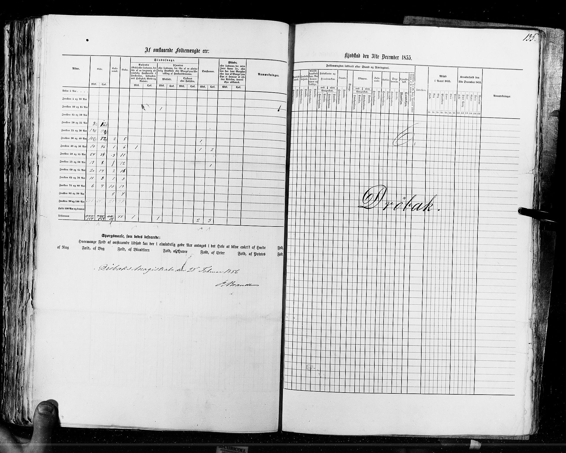 RA, Census 1855, vol. 7: Fredrikshald-Kragerø, 1855, p. 135