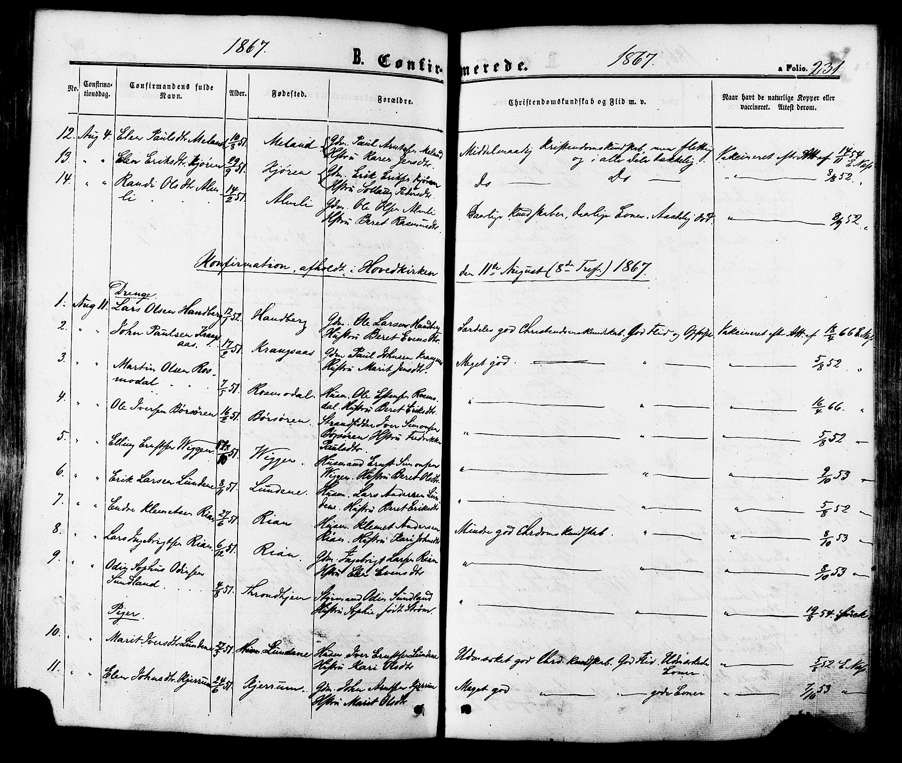 Ministerialprotokoller, klokkerbøker og fødselsregistre - Sør-Trøndelag, AV/SAT-A-1456/665/L0772: Parish register (official) no. 665A07, 1856-1878, p. 231