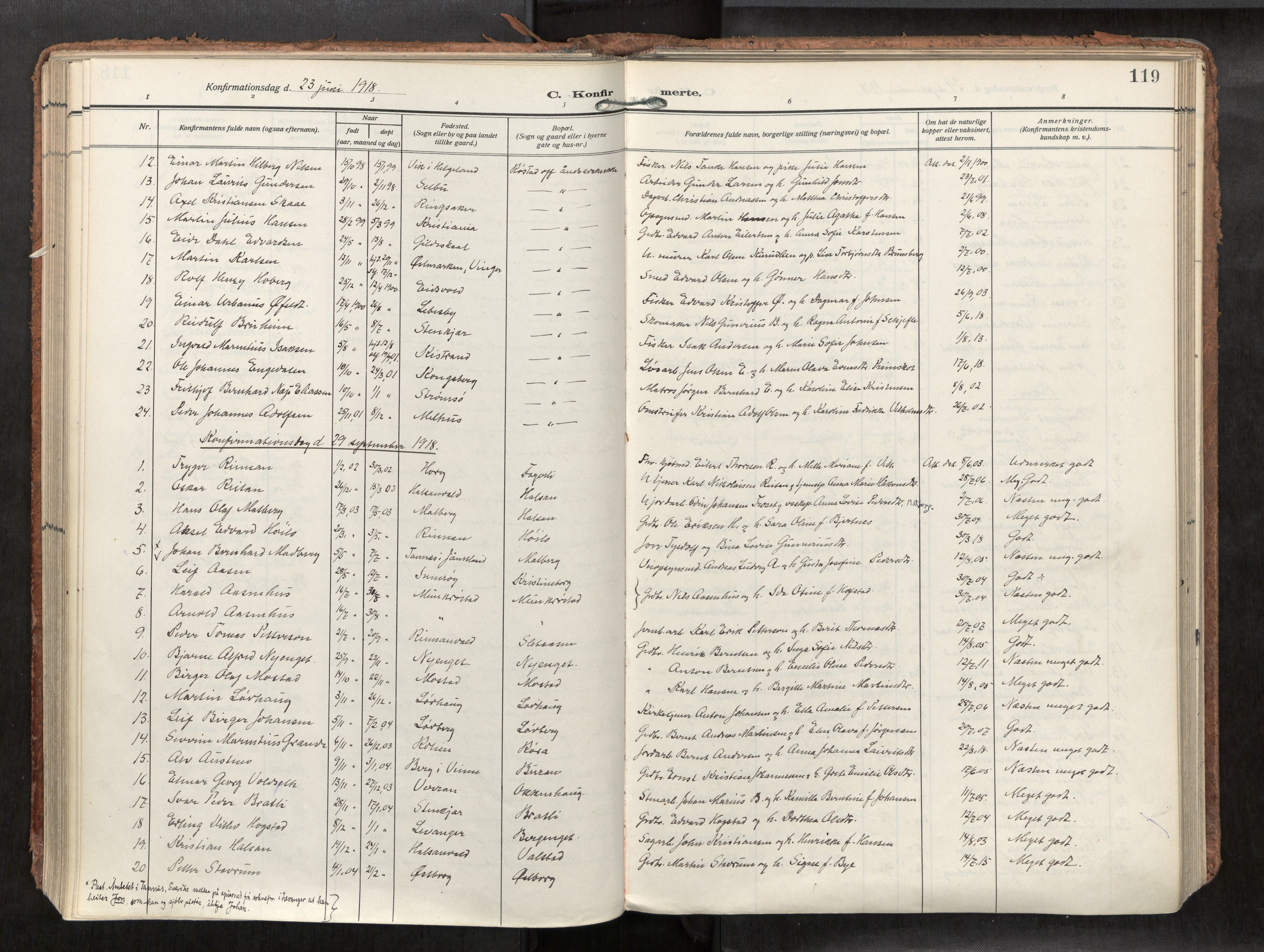 Levanger sokneprestkontor, SAT/A-1301/2/H/Haa/L0002: Parish register (official) no. 2, 1912-1935, p. 119