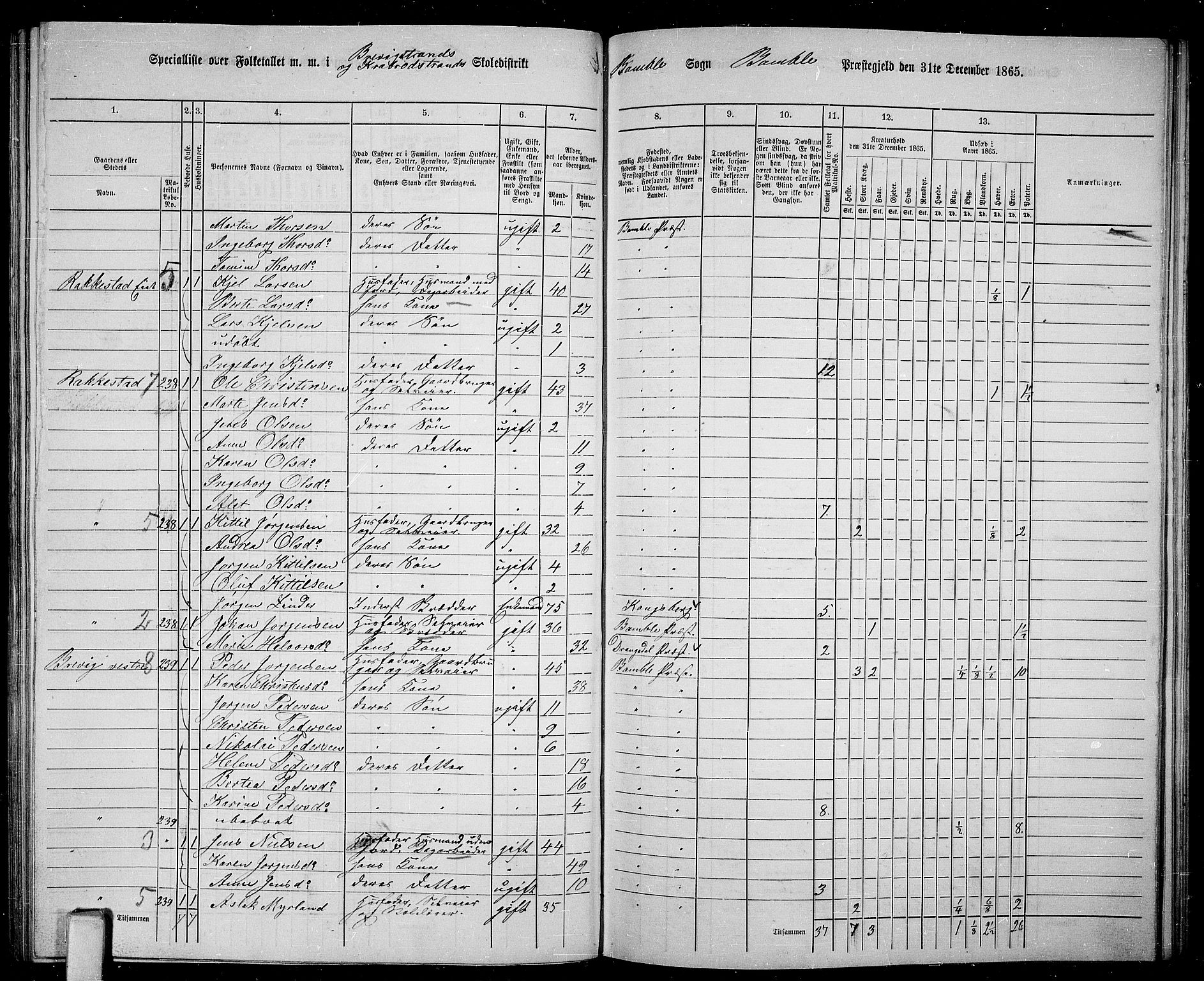 RA, 1865 census for Bamble, 1865, p. 132