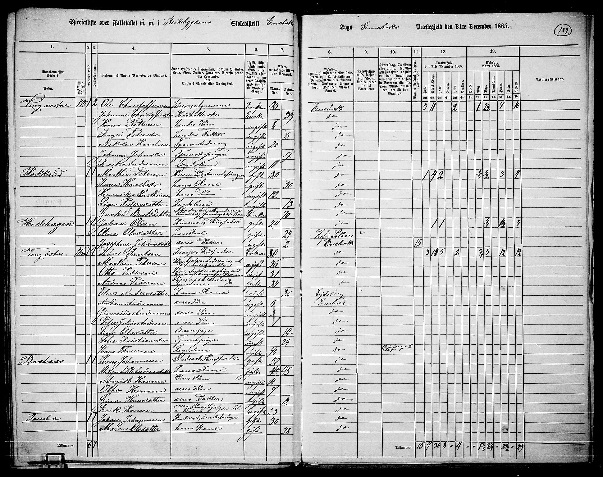 RA, 1865 census for Enebakk, 1865, p. 159