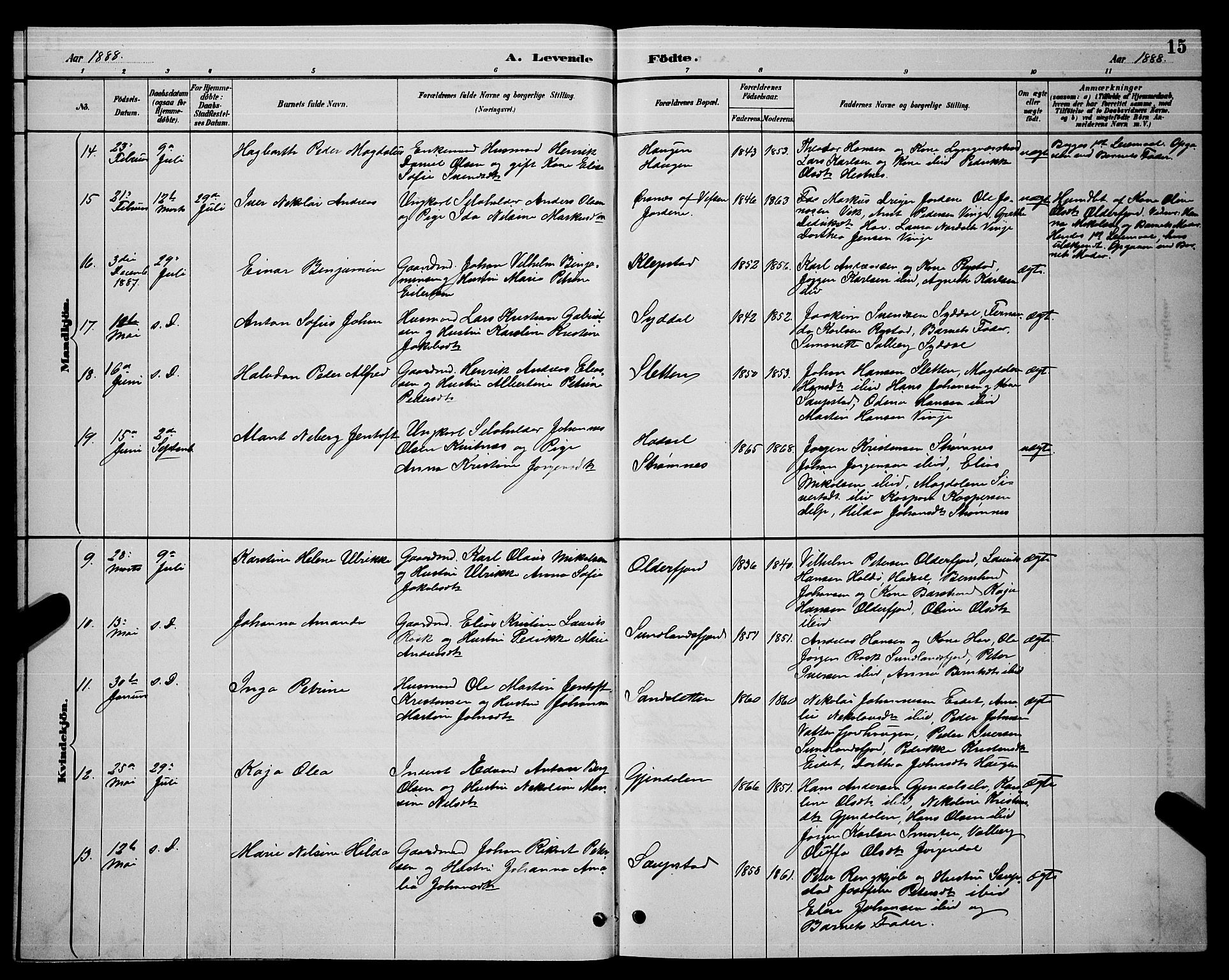 Ministerialprotokoller, klokkerbøker og fødselsregistre - Nordland, AV/SAT-A-1459/876/L1104: Parish register (copy) no. 876C03, 1886-1896, p. 15