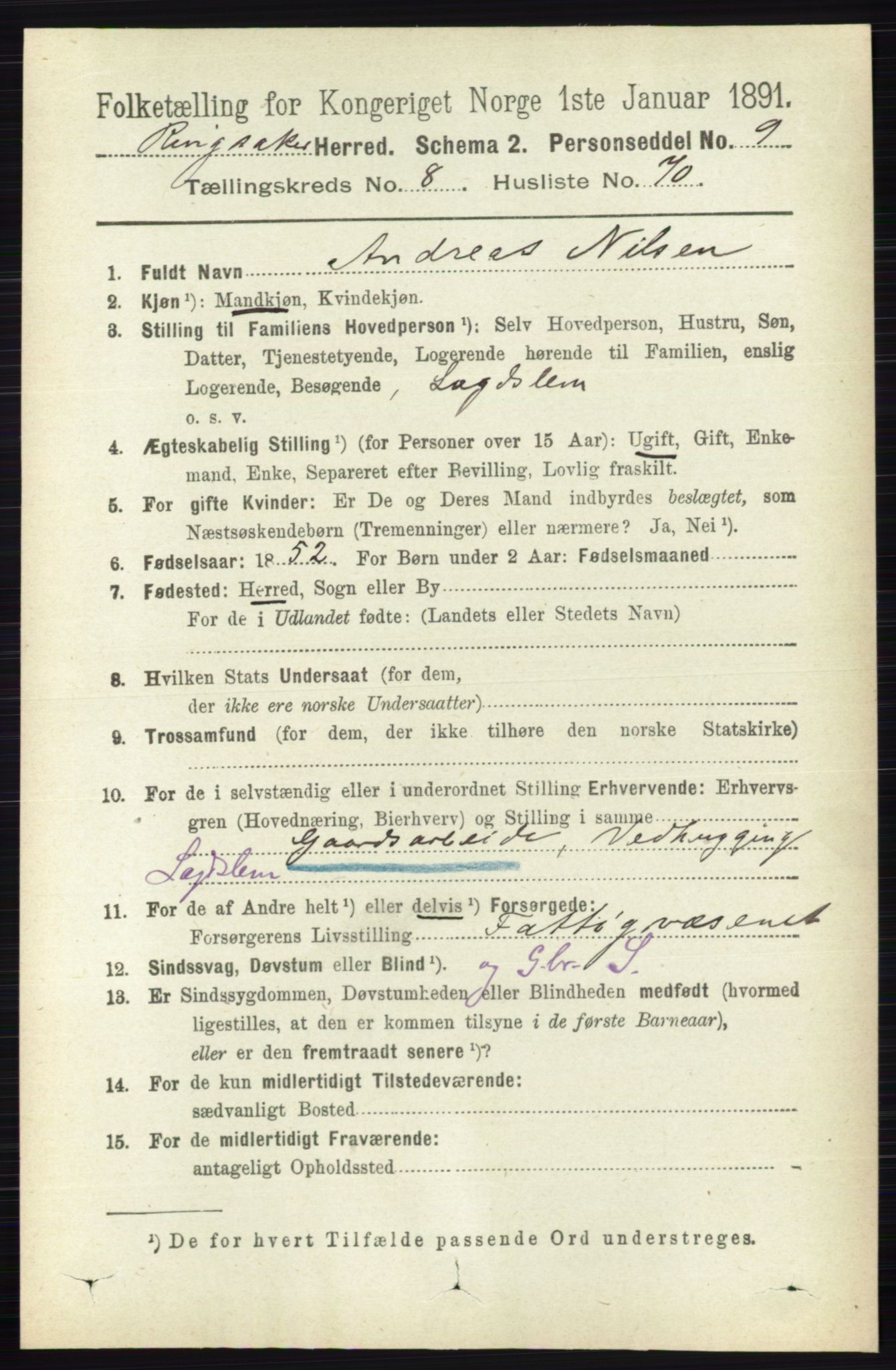 RA, 1891 census for 0412 Ringsaker, 1891, p. 4876