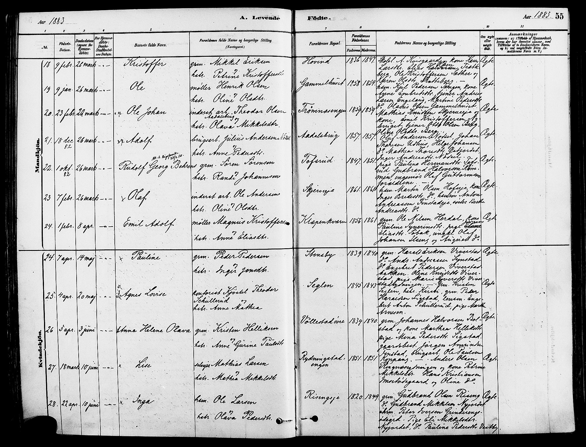 Løten prestekontor, SAH/PREST-022/K/Ka/L0009: Parish register (official) no. 9, 1878-1891, p. 55