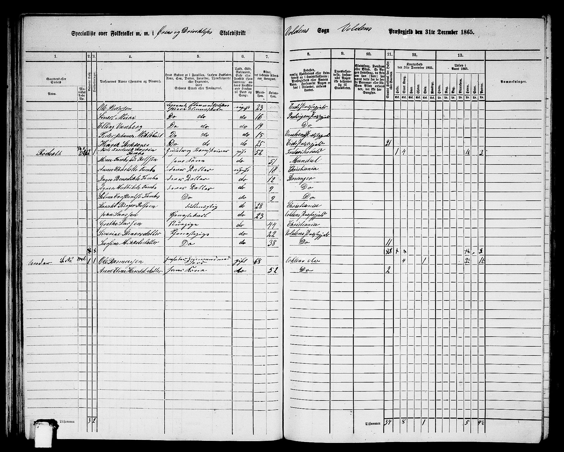 RA, 1865 census for Volda, 1865, p. 47