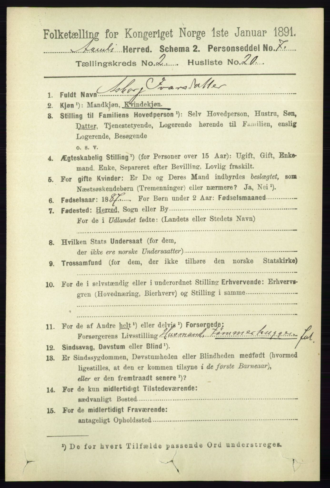 RA, 1891 census for 0929 Åmli, 1891, p. 295