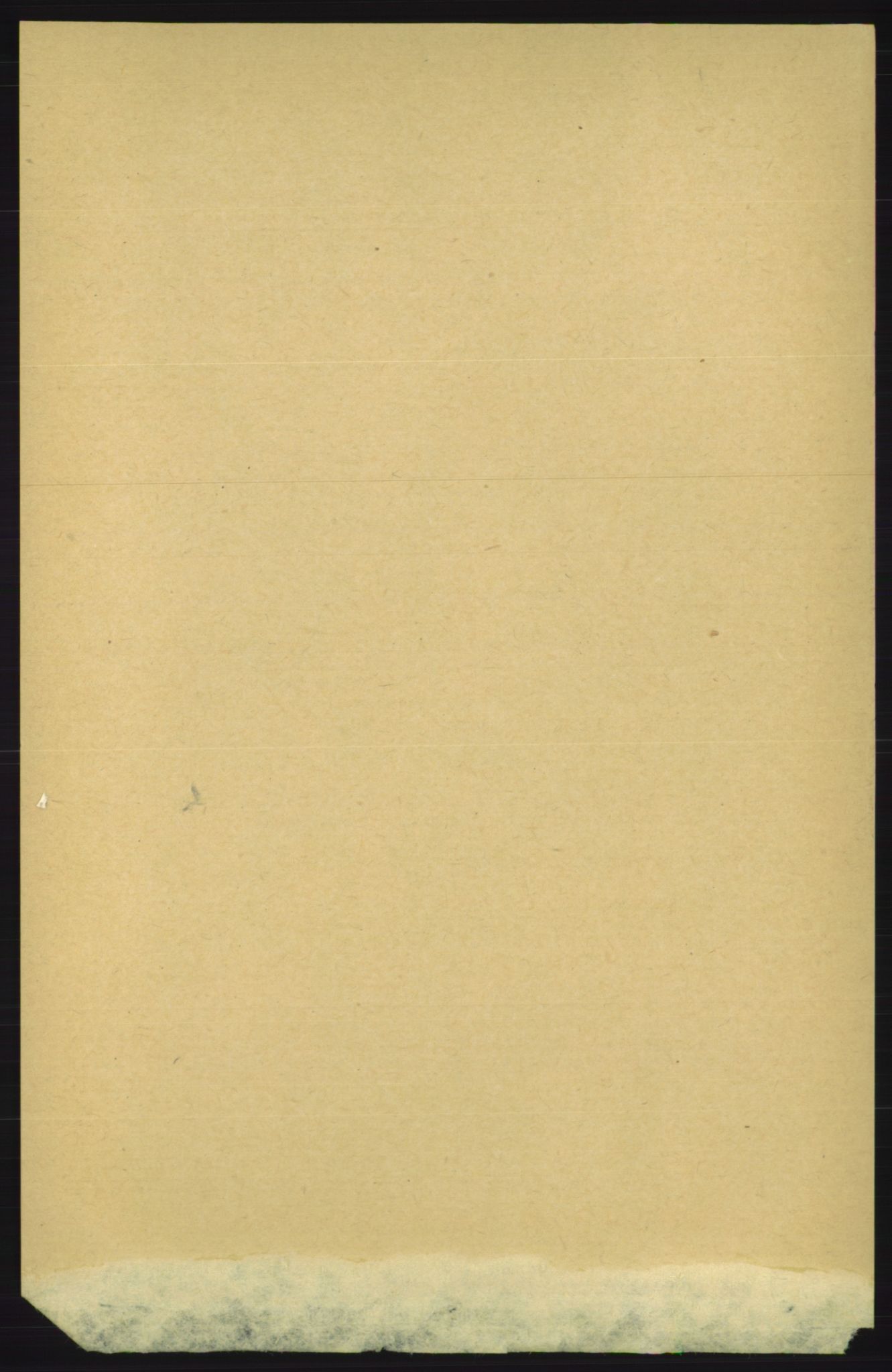 RA, 1891 census for 1824 Vefsn, 1891, p. 1619