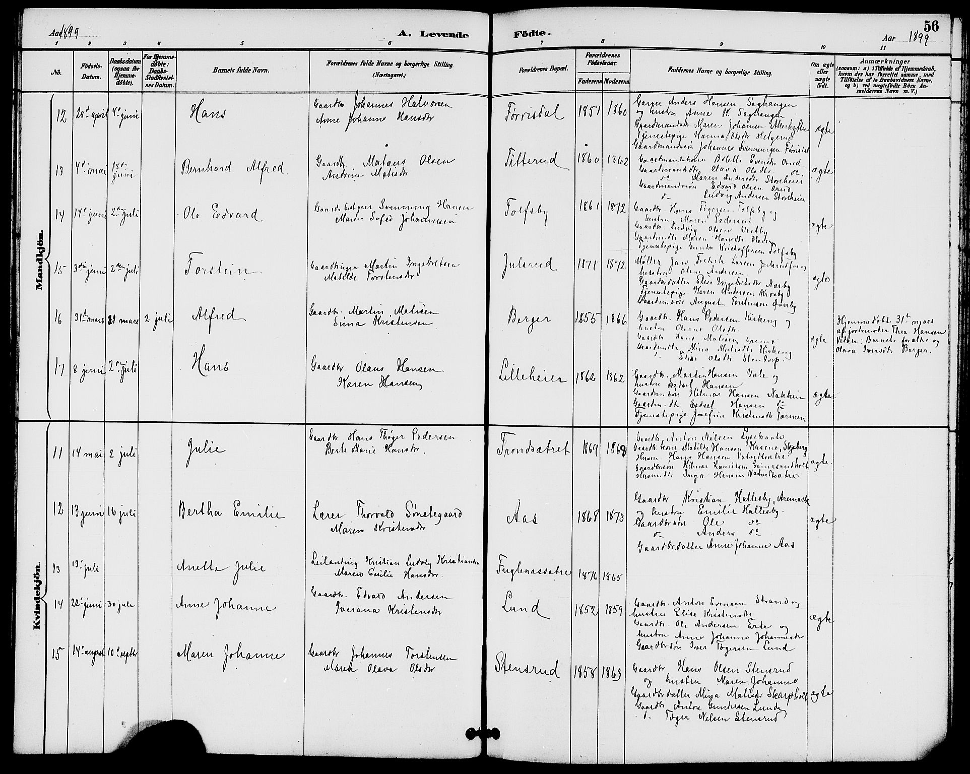 Rakkestad prestekontor Kirkebøker, AV/SAO-A-2008/G/Gb/L0001: Parish register (copy) no. II 1, 1887-1909, p. 56