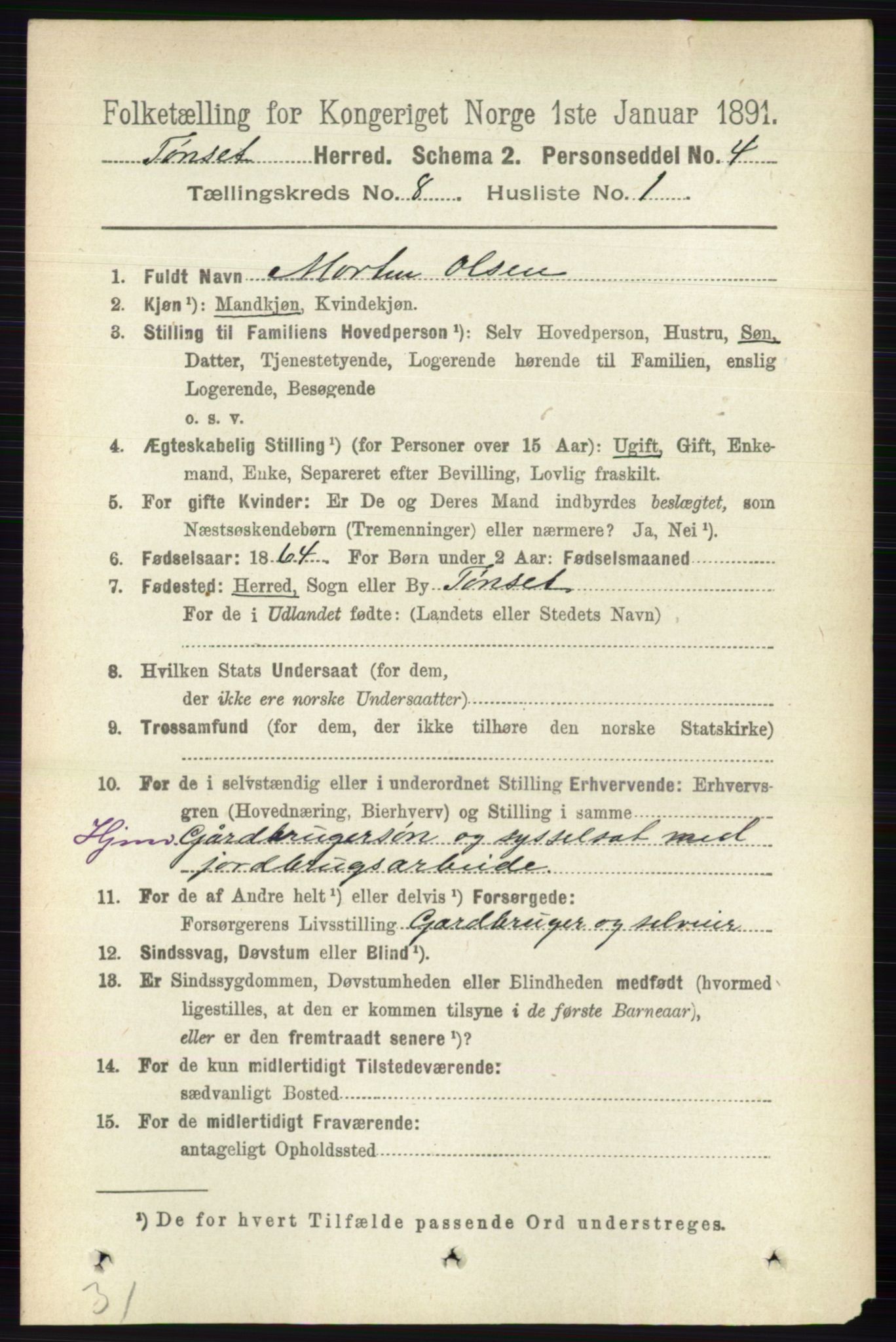 RA, 1891 census for 0437 Tynset, 1891, p. 2078