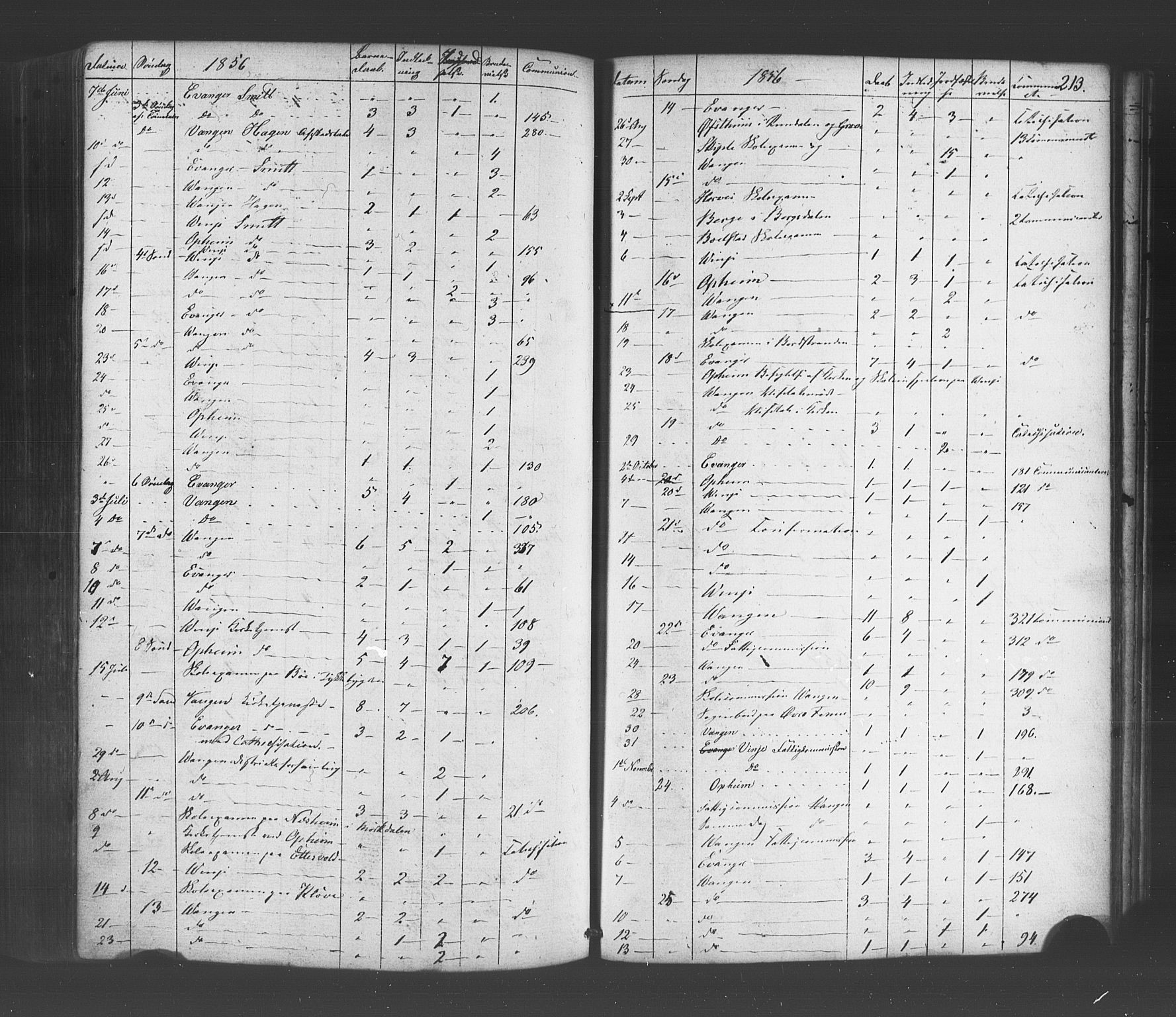 Voss sokneprestembete, SAB/A-79001/H/Haa: Parish register (official) no. A 19, 1851-1886, p. 213