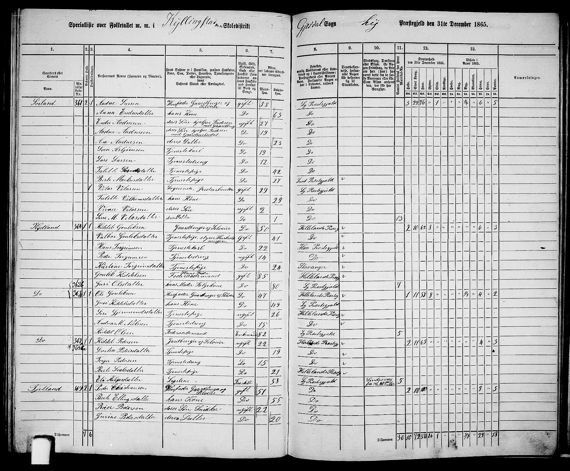 RA, 1865 census for Lye, 1865, p. 135