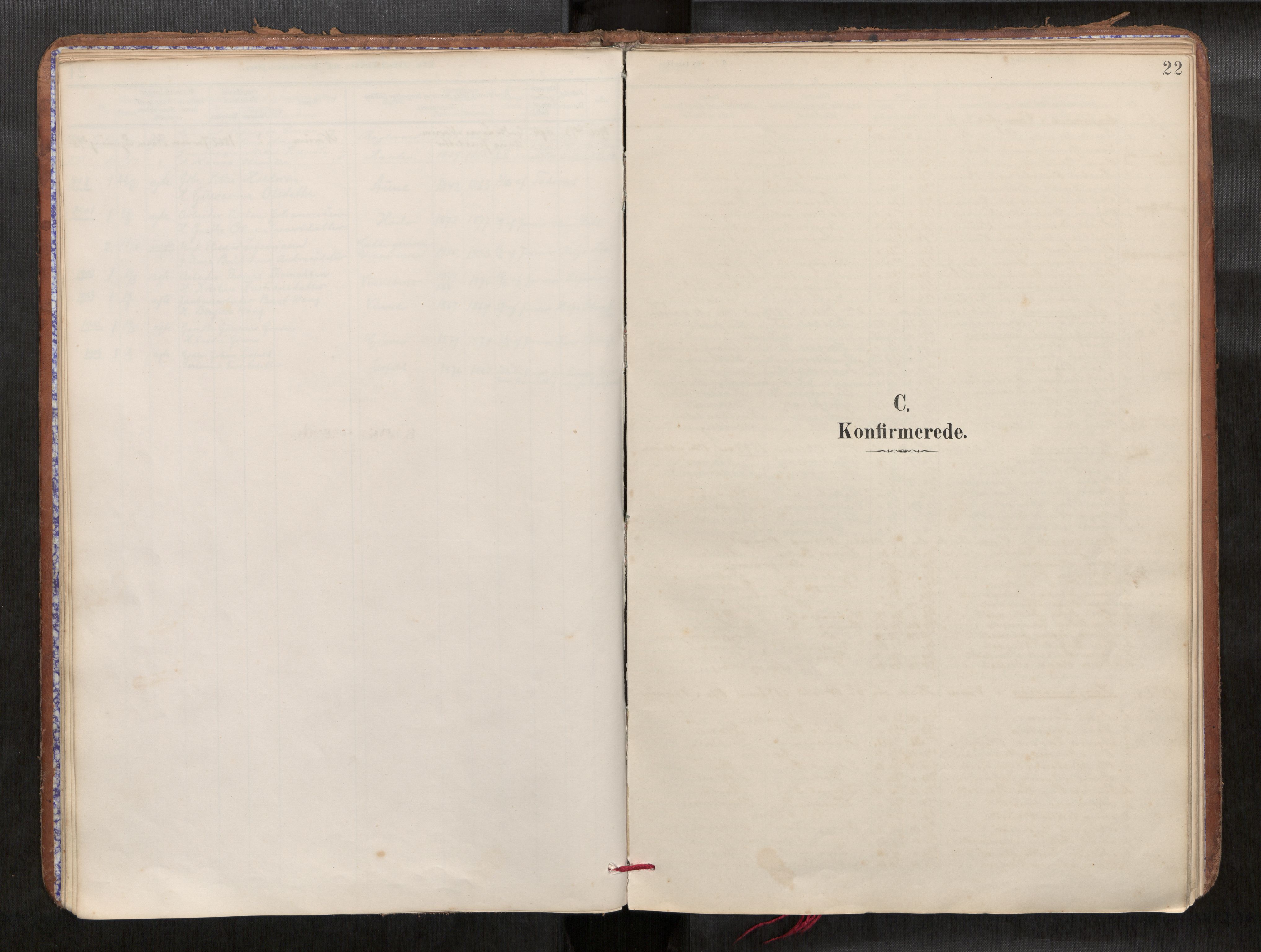 Verdal sokneprestkontor, AV/SAT-A-1156/2/H/Haa/L0002: Parish register (official) no. 2, 1891-1907, p. 22