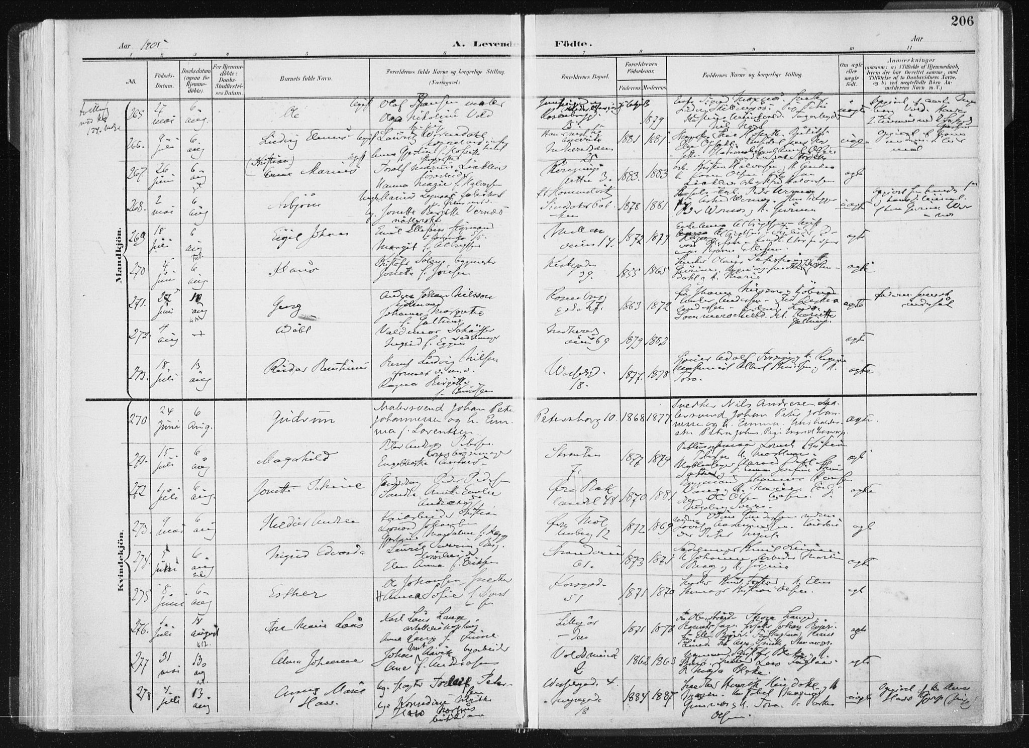 Ministerialprotokoller, klokkerbøker og fødselsregistre - Sør-Trøndelag, AV/SAT-A-1456/604/L0199: Parish register (official) no. 604A20I, 1901-1906, p. 206
