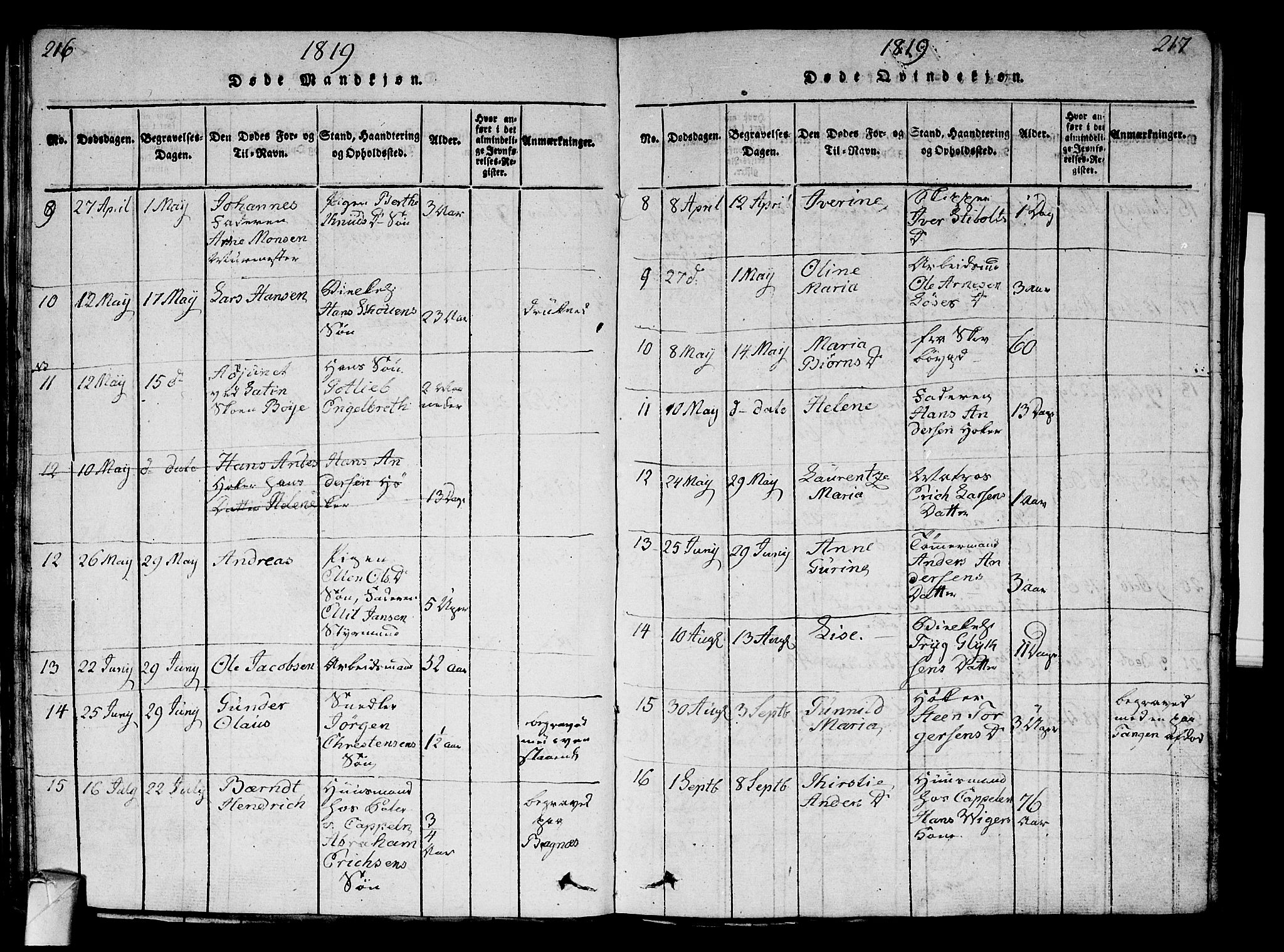 Strømsø kirkebøker, AV/SAKO-A-246/G/Ga/L0001: Parish register (copy) no. 1, 1815-1829, p. 216-217