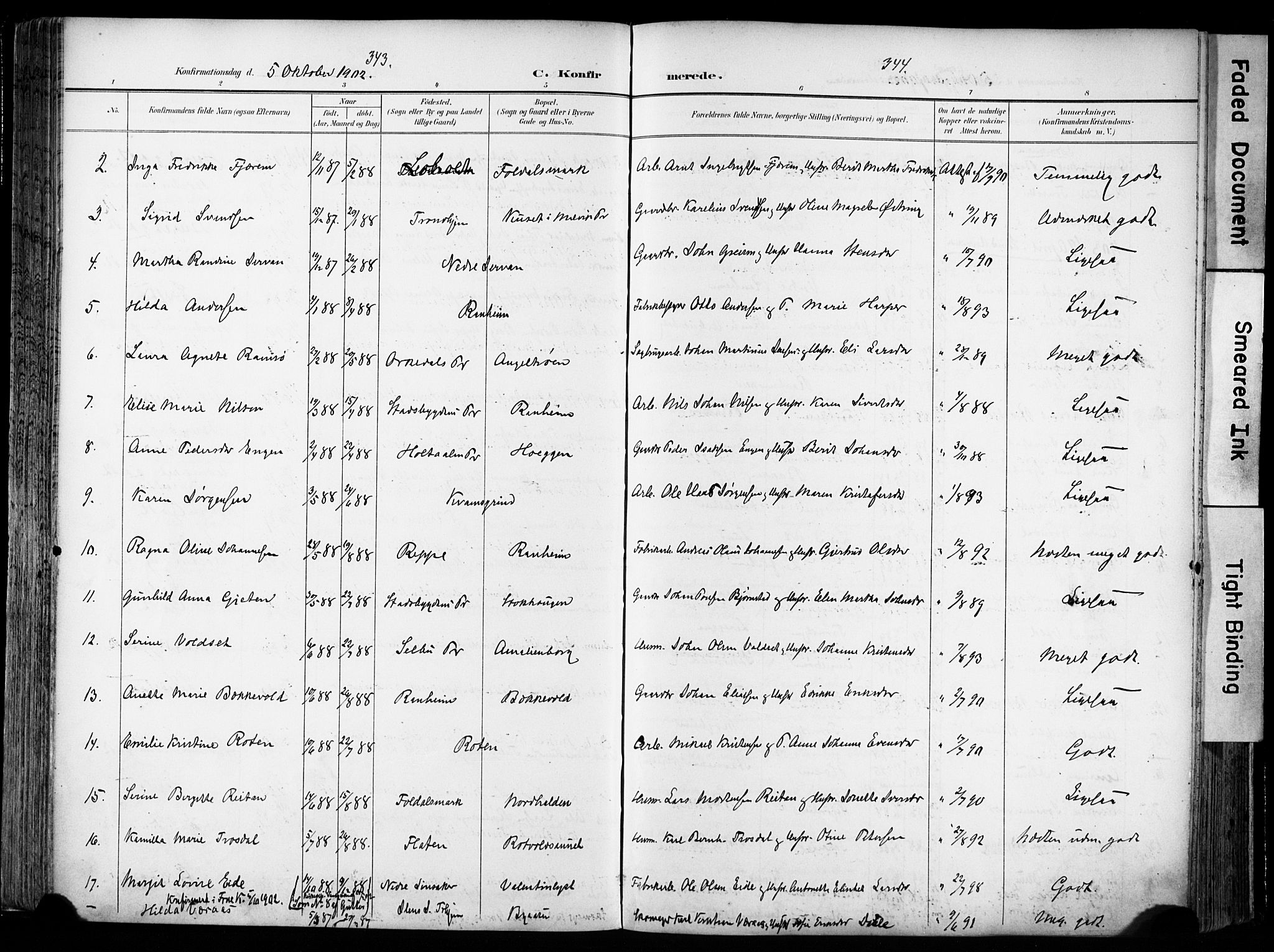 Ministerialprotokoller, klokkerbøker og fødselsregistre - Sør-Trøndelag, SAT/A-1456/606/L0301: Parish register (official) no. 606A16, 1894-1907, p. 343-344