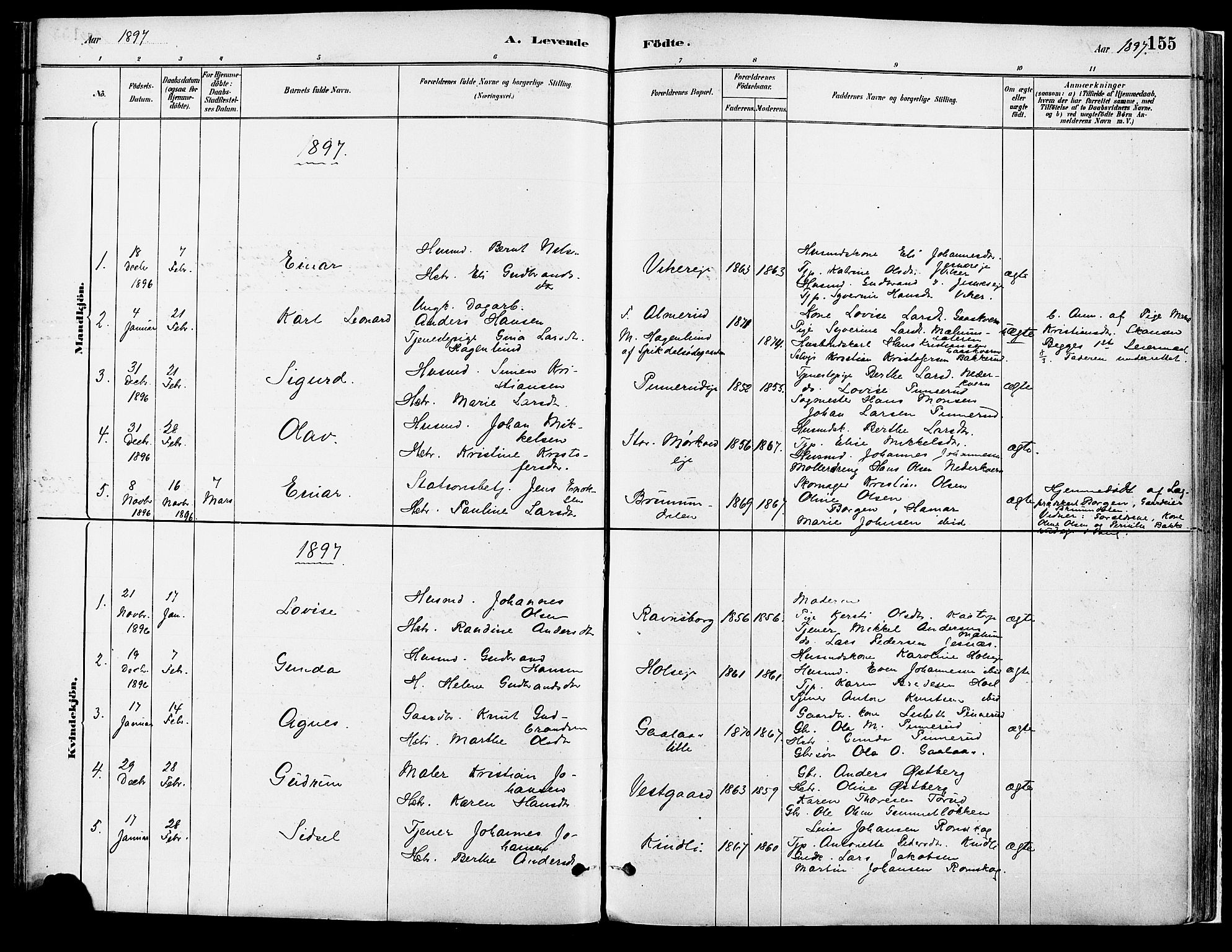 Vang prestekontor, Hedmark, SAH/PREST-008/H/Ha/Haa/L0018A: Parish register (official) no. 18A, 1880-1906, p. 155