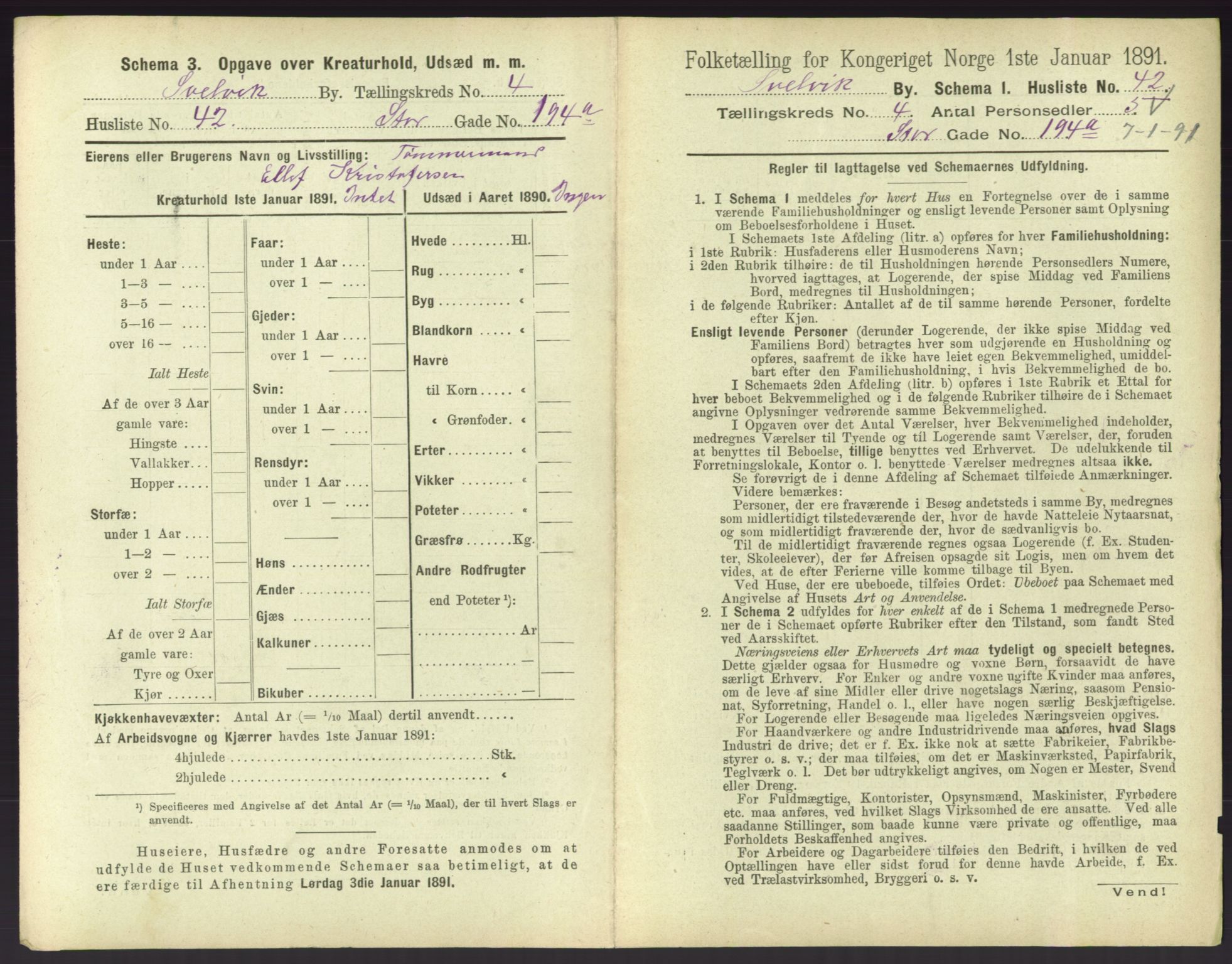 RA, 1891 census for 0701 Svelvik, 1891, p. 456