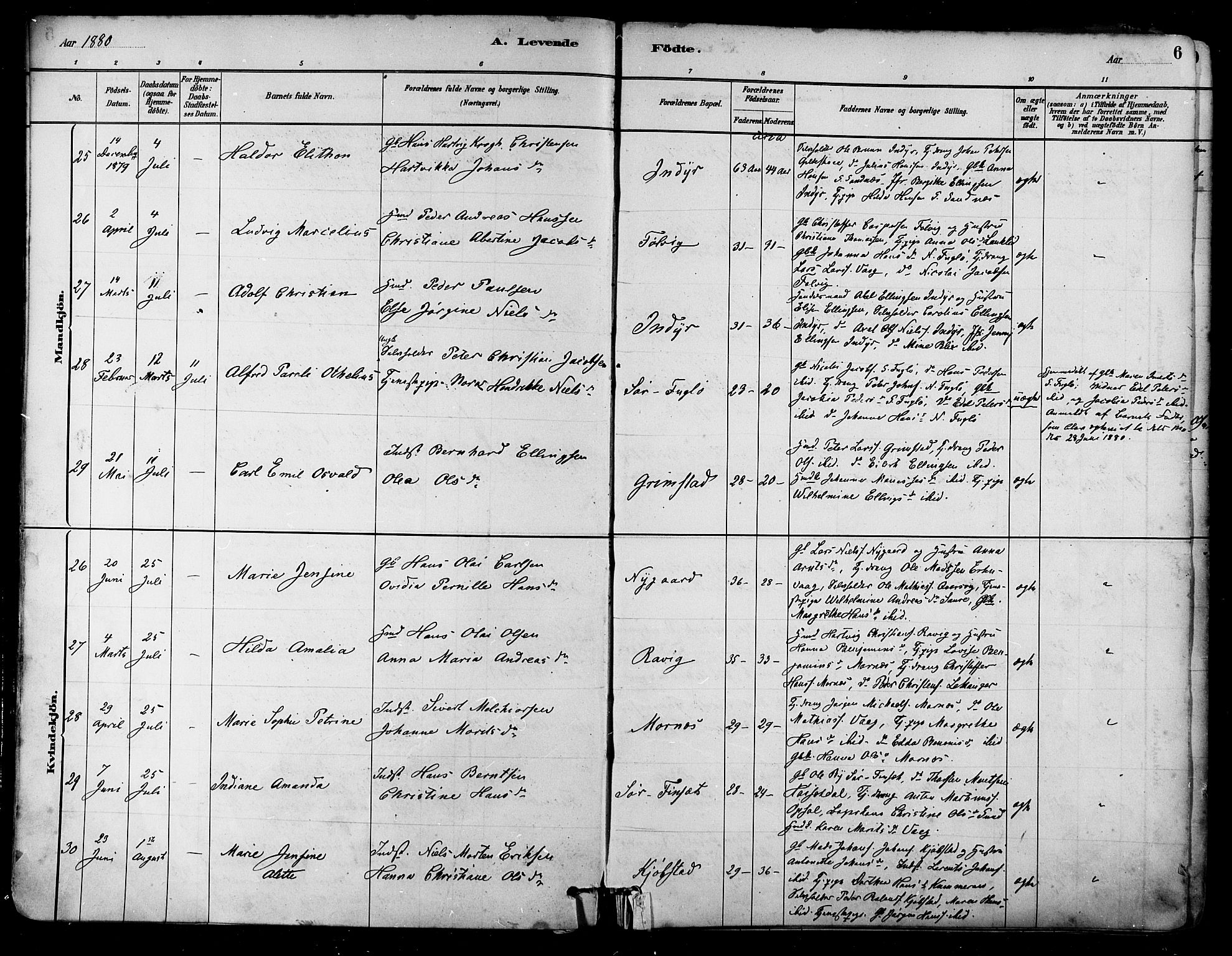 Ministerialprotokoller, klokkerbøker og fødselsregistre - Nordland, SAT/A-1459/805/L0099: Parish register (official) no. 805A06, 1880-1891, p. 6