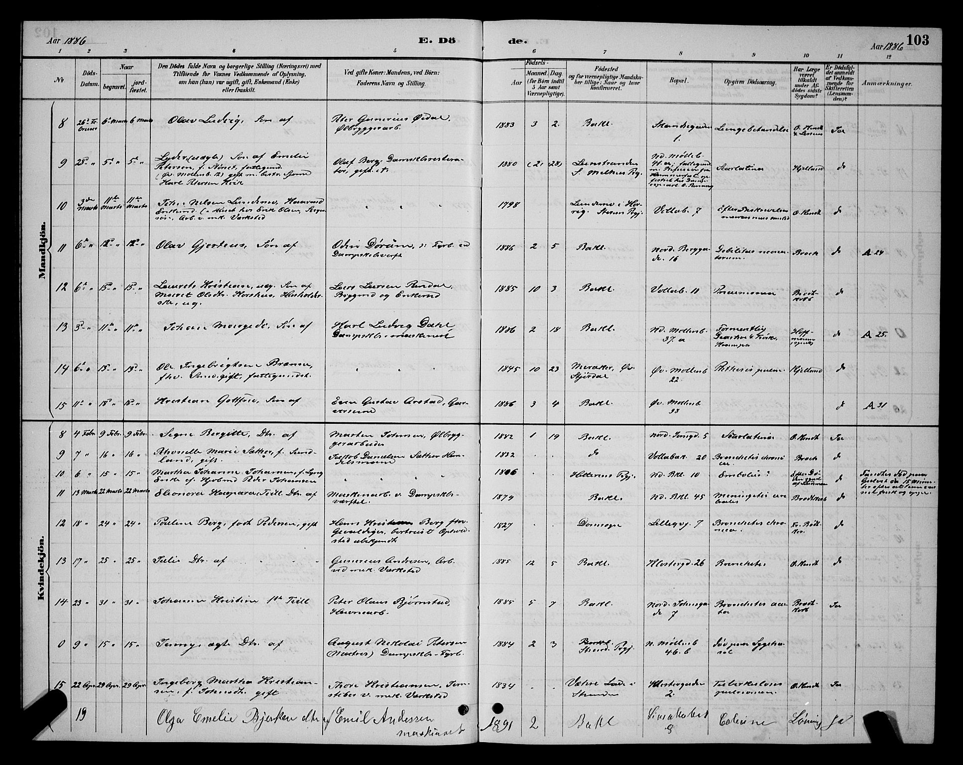 Ministerialprotokoller, klokkerbøker og fødselsregistre - Sør-Trøndelag, SAT/A-1456/604/L0223: Parish register (copy) no. 604C06, 1886-1897, p. 103