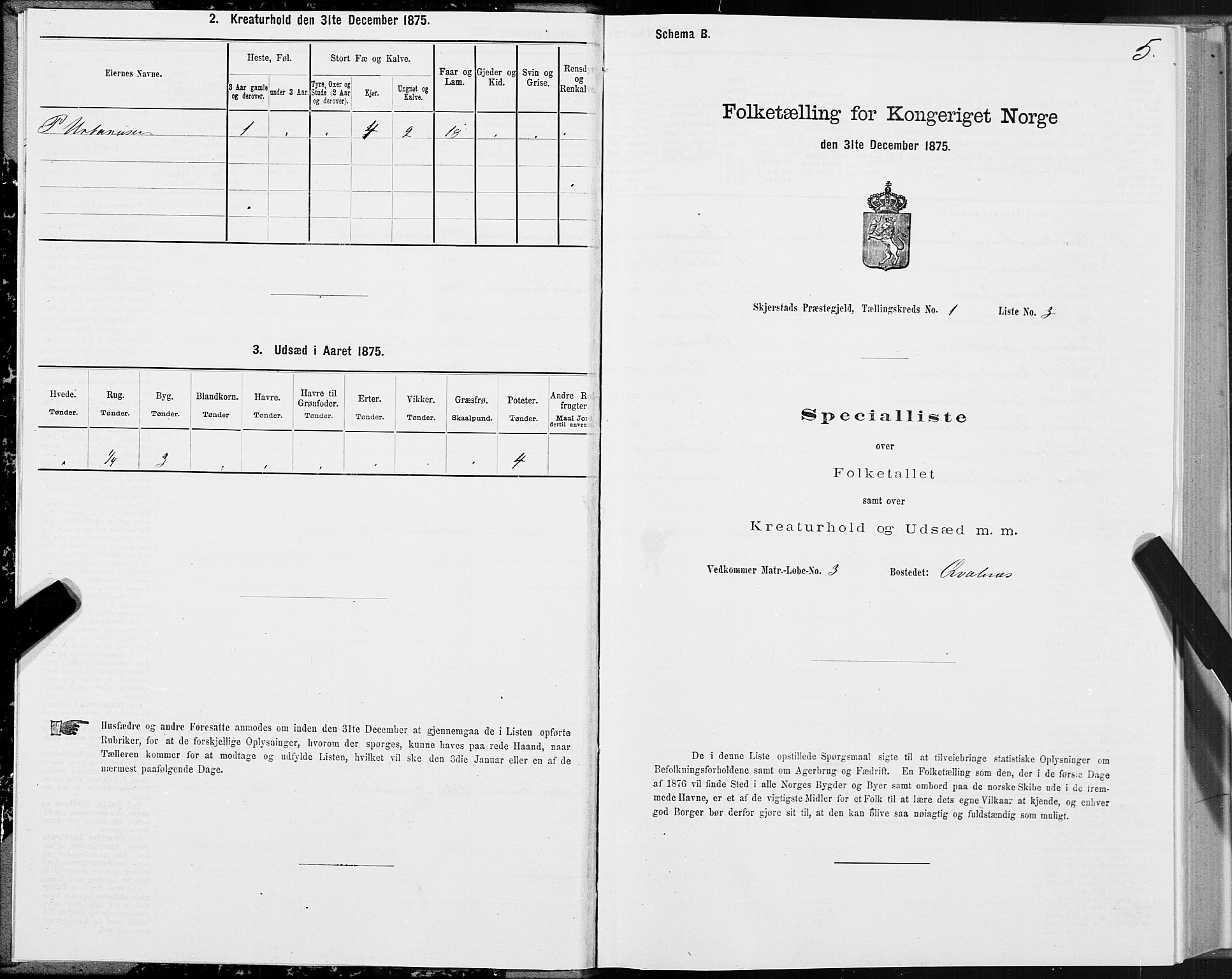 SAT, 1875 census for 1842P Skjerstad, 1875, p. 1005