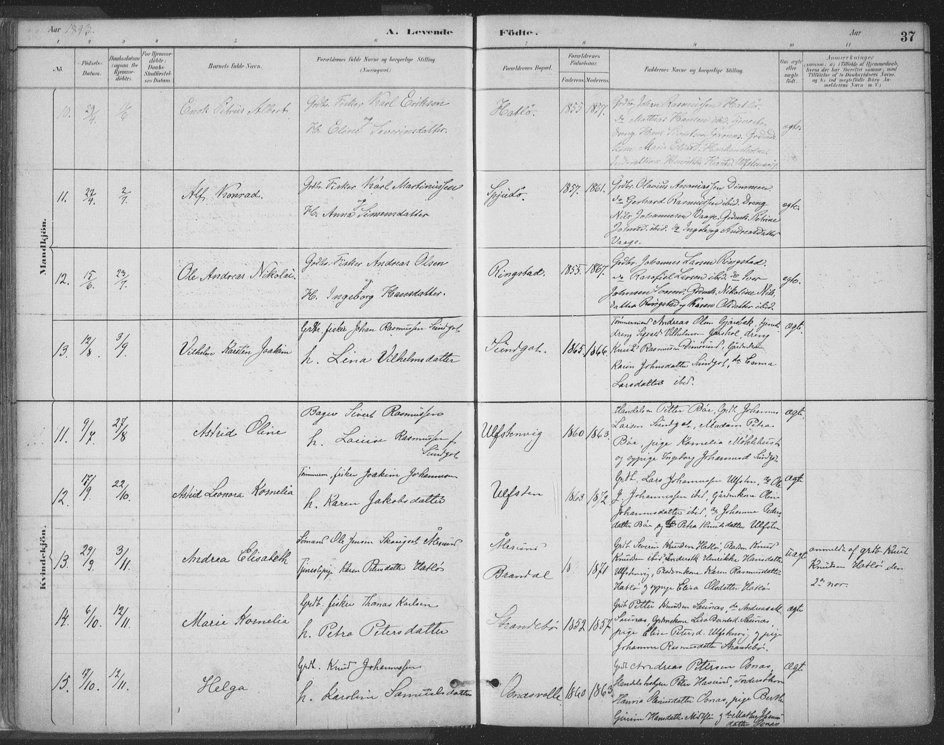 Ministerialprotokoller, klokkerbøker og fødselsregistre - Møre og Romsdal, SAT/A-1454/509/L0106: Parish register (official) no. 509A04, 1883-1922, p. 37